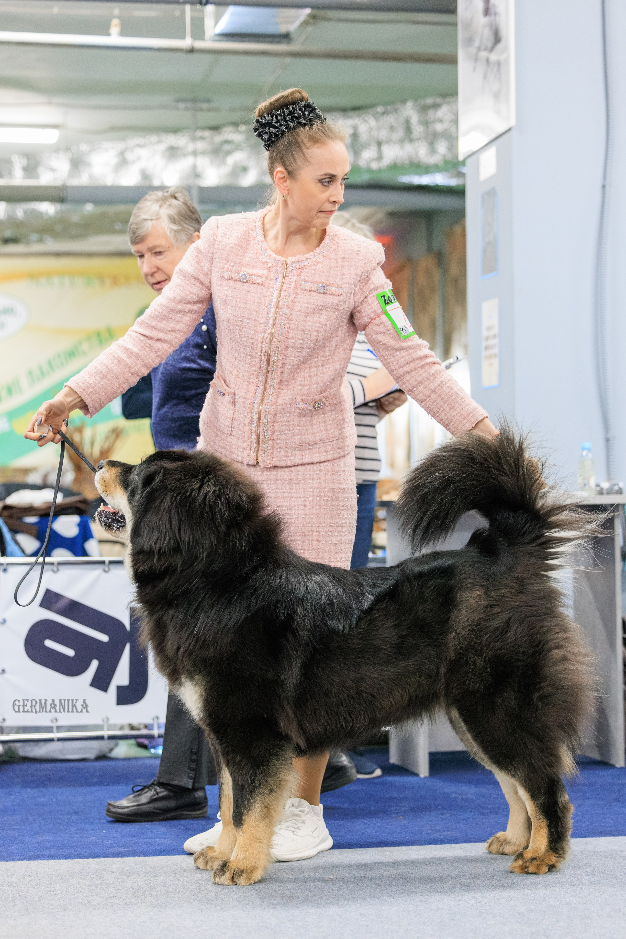 Сфера 08 и 10.03.2024 2хмоно ротвейлеров+2хмоно сао. Фотограф-анималист Юлия Германика