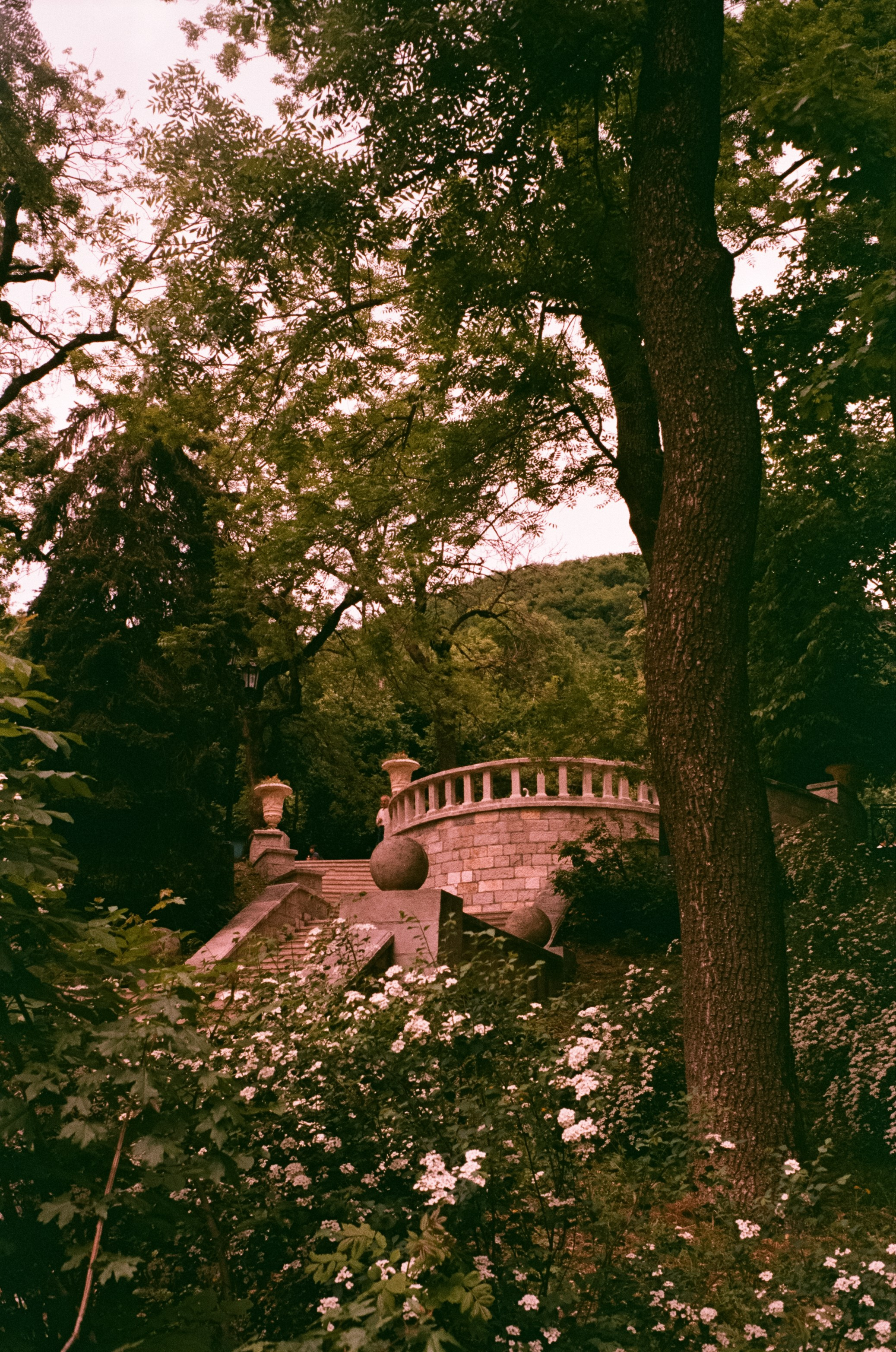 Кисловодск, Железноводск / 4 мая 2024 года / Centuria 400