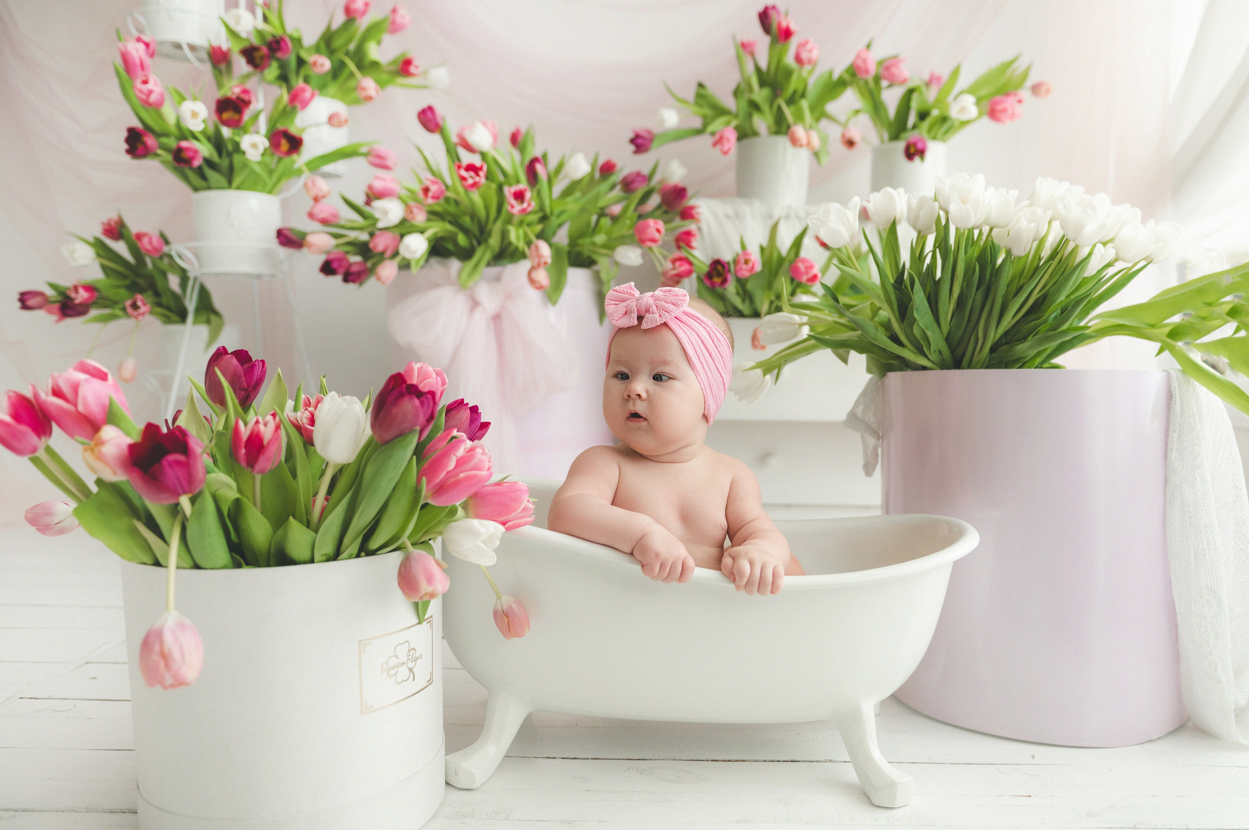 Тюльпаны. Фотограф новорожденных и детей в Барнауле — Екатерина Шапкина