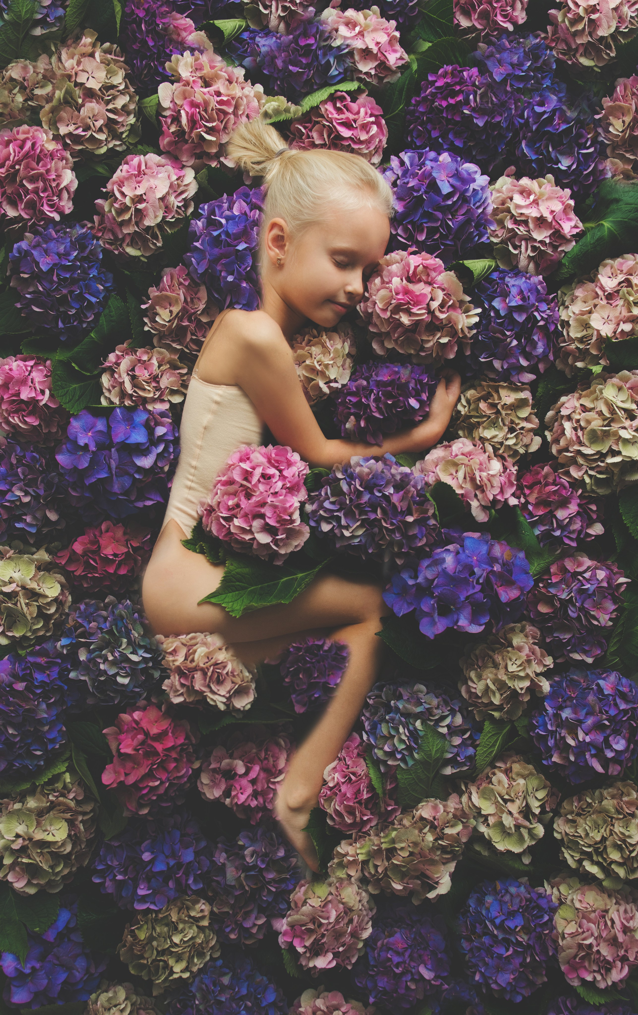 Гортензии. Фотограф новорожденных и детей в Барнауле — Екатерина Шапкина