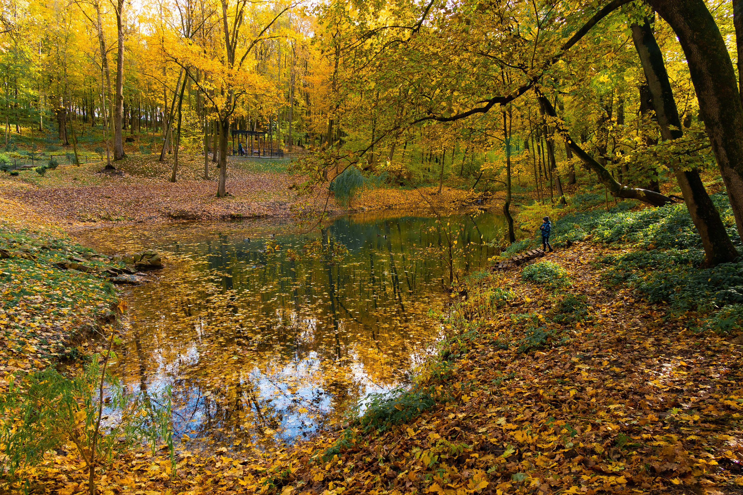Платоновский парк. Фотограф и видеооператор в Туле | Даниил Рыбак