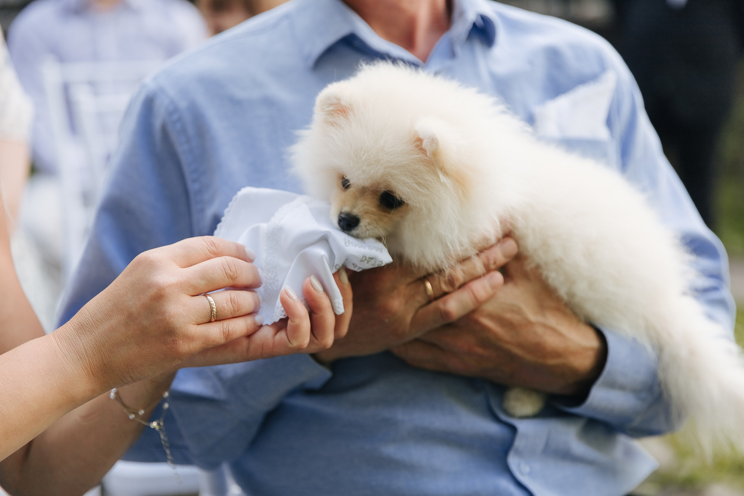 Выездная регистрация. Фотограф в Красноярске Любовь Малеева