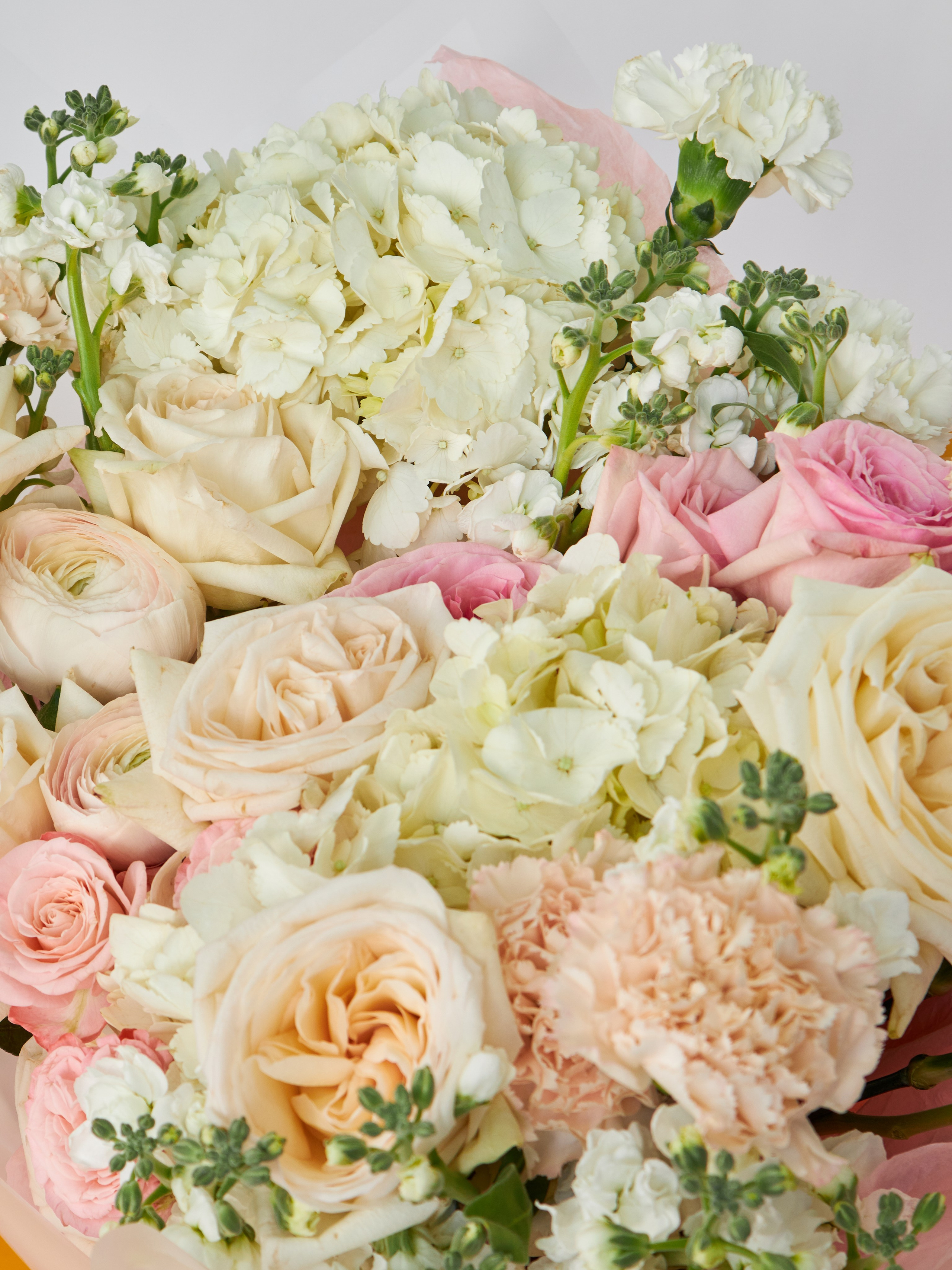 Уютная съемка каталога домашней одежды и пижам в комфортной обстановке в Москве для Ozon, Wildberries