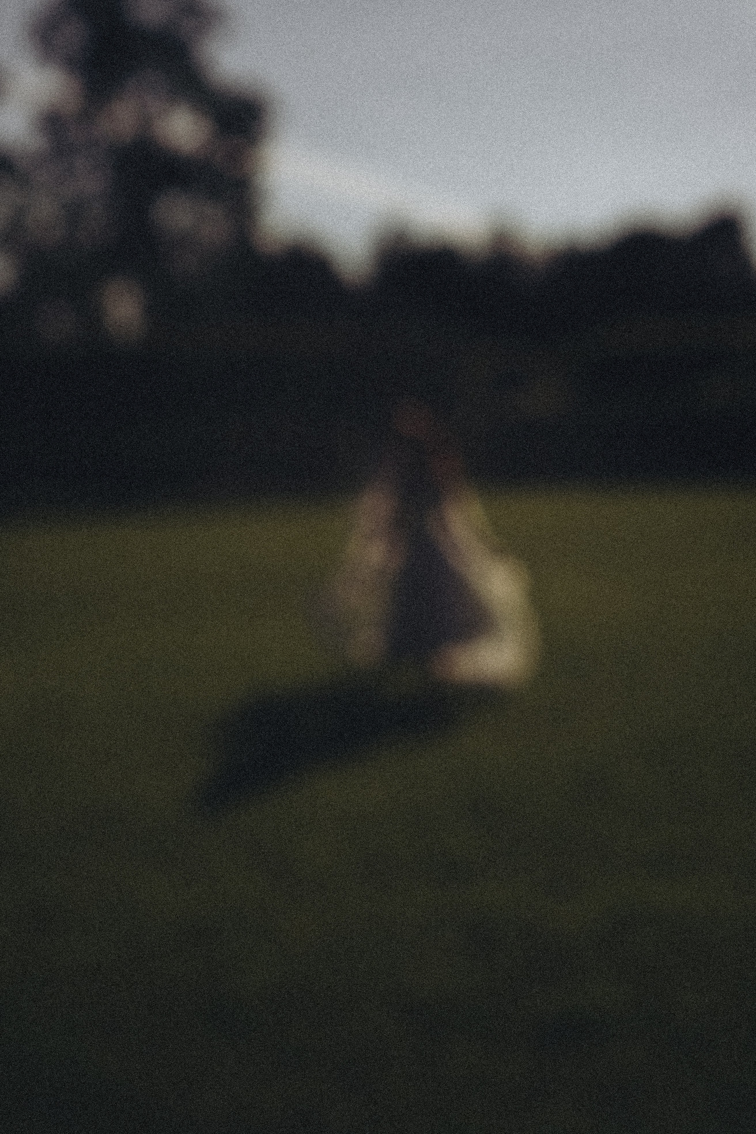 СВАДЕБНАЯ ФОТОСЕСИСИЯ В ГОРОДЕ ПУШКИН. Профессиональный фотограф, Санкт-Петербург — Виктория Богомолова