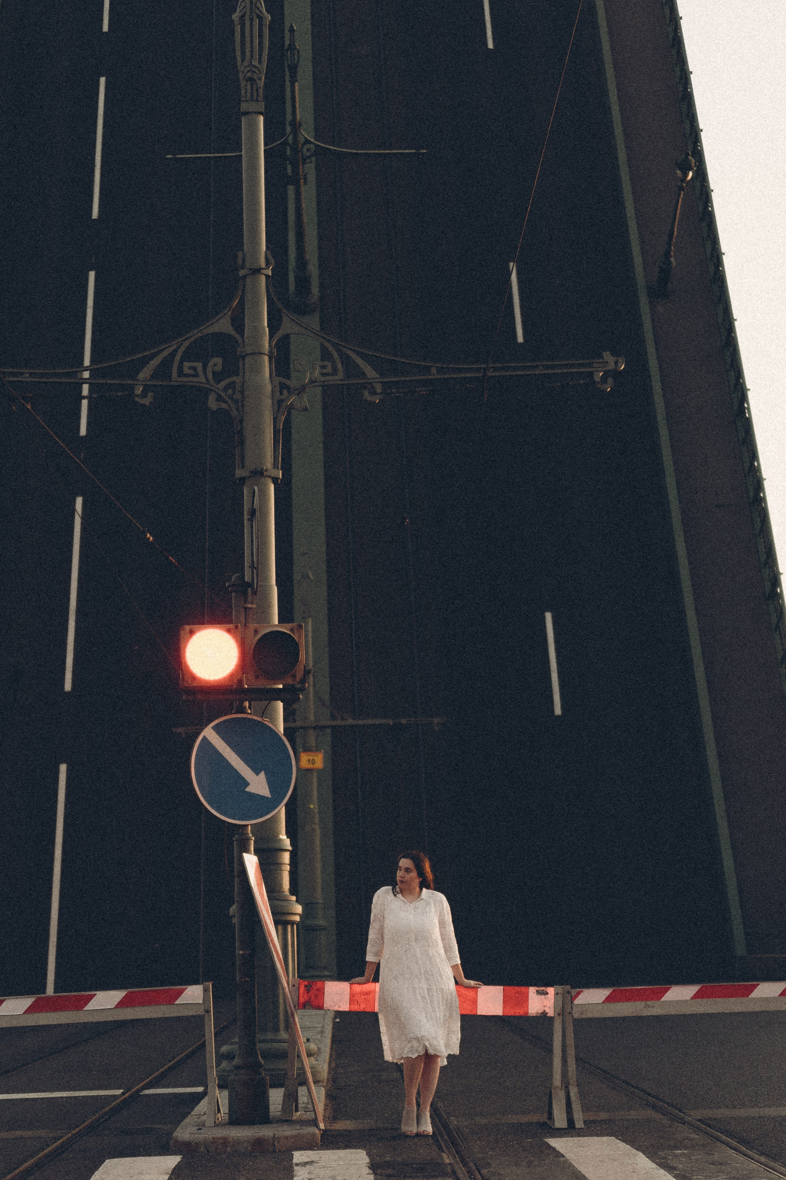 РАССВЕТ С РАЗВОДНЫМИ МОСТАМИ. Профессиональный фотограф, Санкт-Петербург — Виктория Богомолова