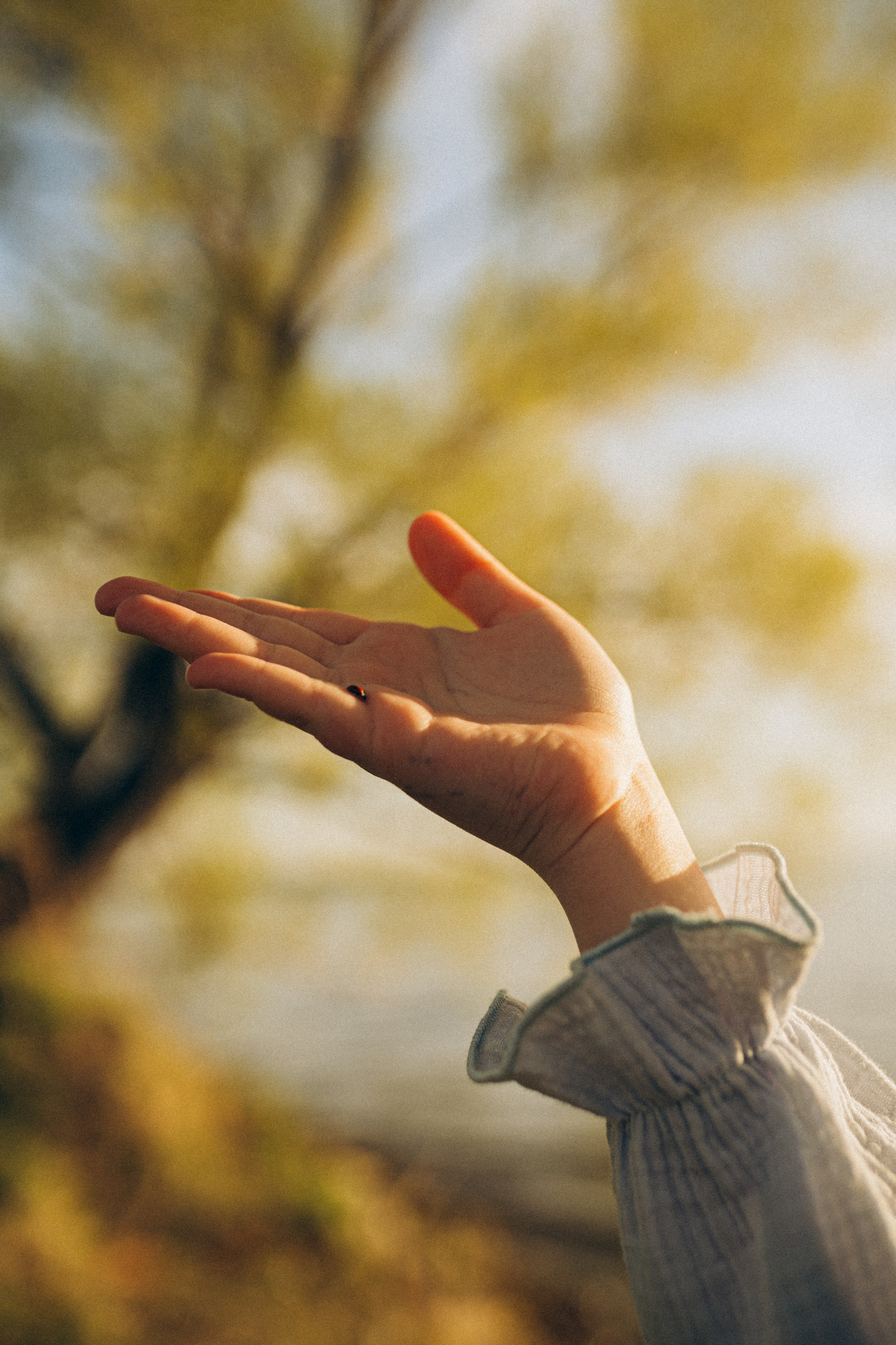 Любимый месяц май. Семейный фотограф в Челябинске