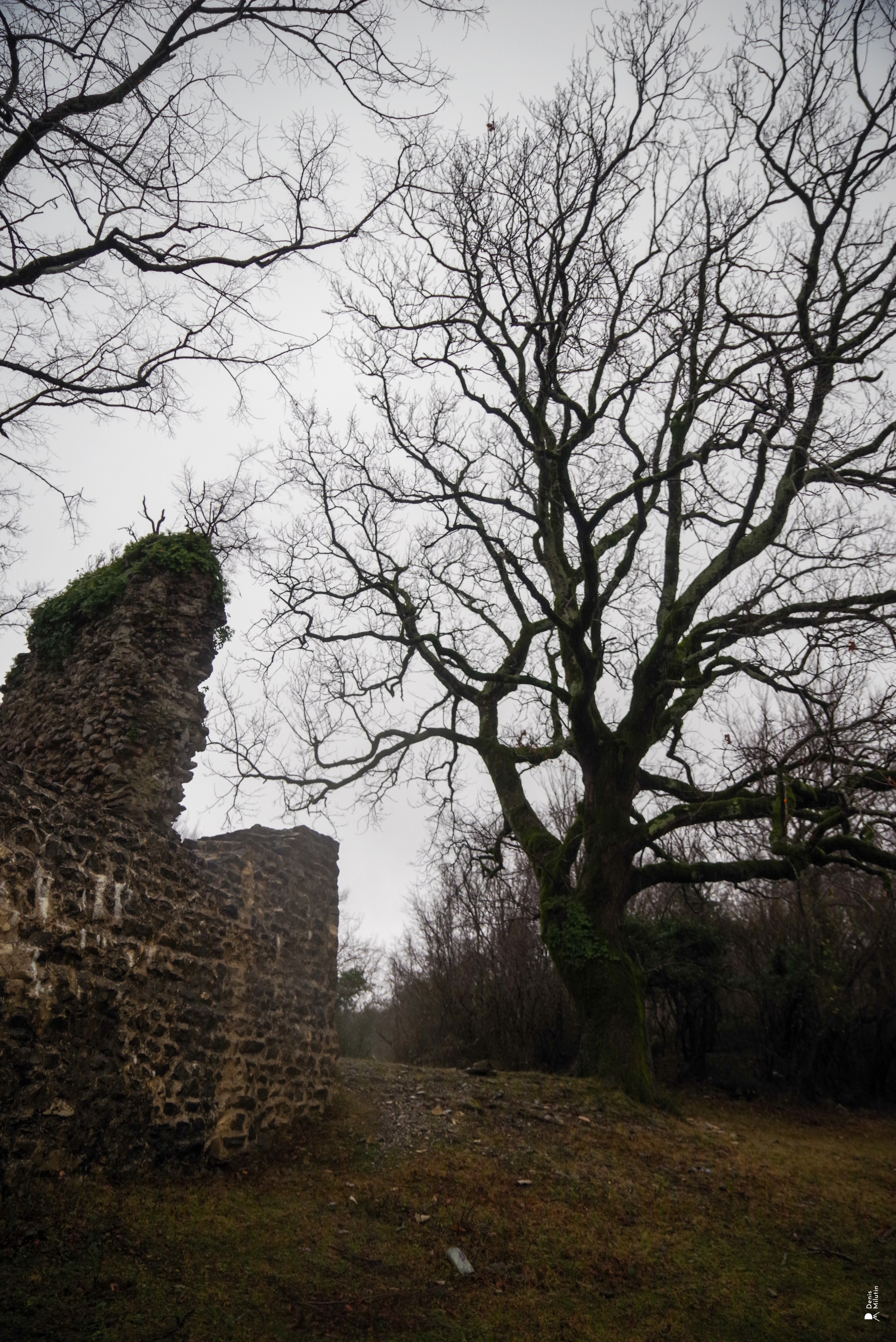 Свалдьба Зура и Мари. Портретный фотограф Денис Милютин