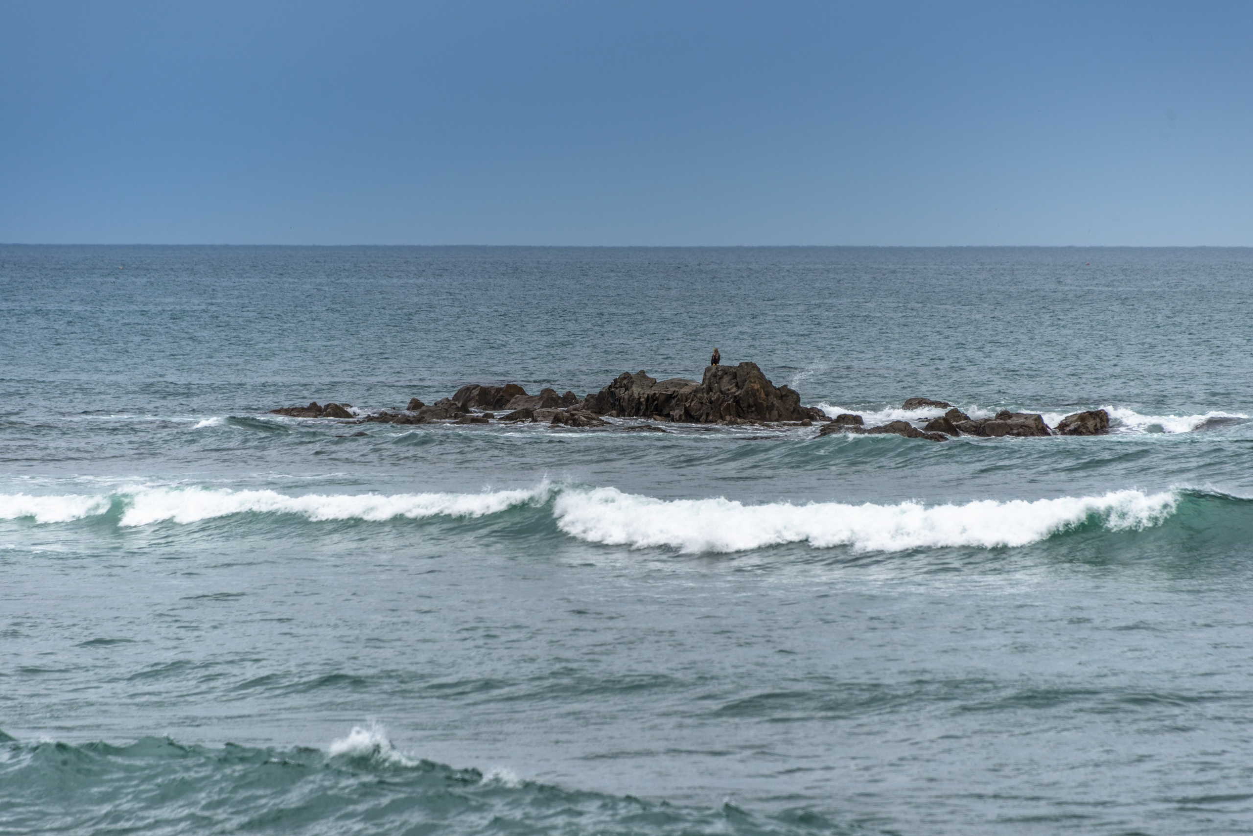 Сахалин. Фотограф Лара Кучина
