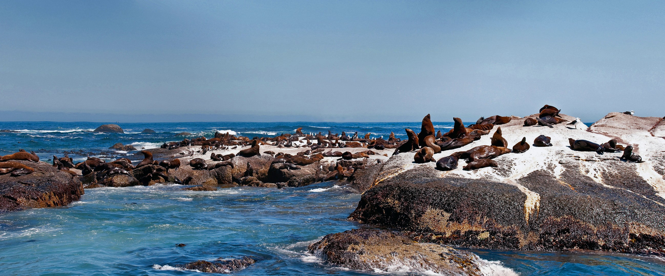 Cape Point. Фотограф Лара Кучина