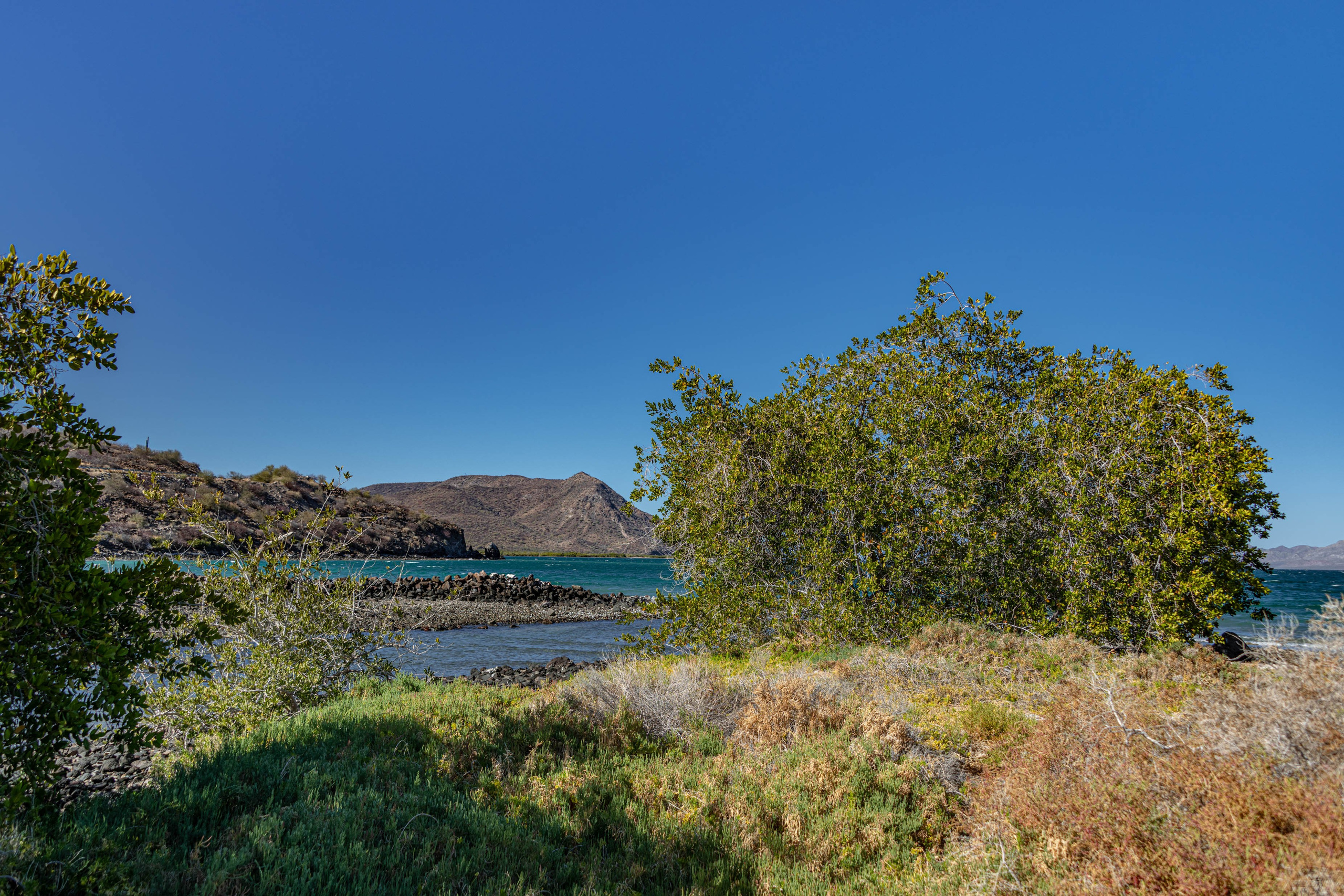 Нижняя Калифорния Playa Buenaventura. Фотограф Лара Кучина