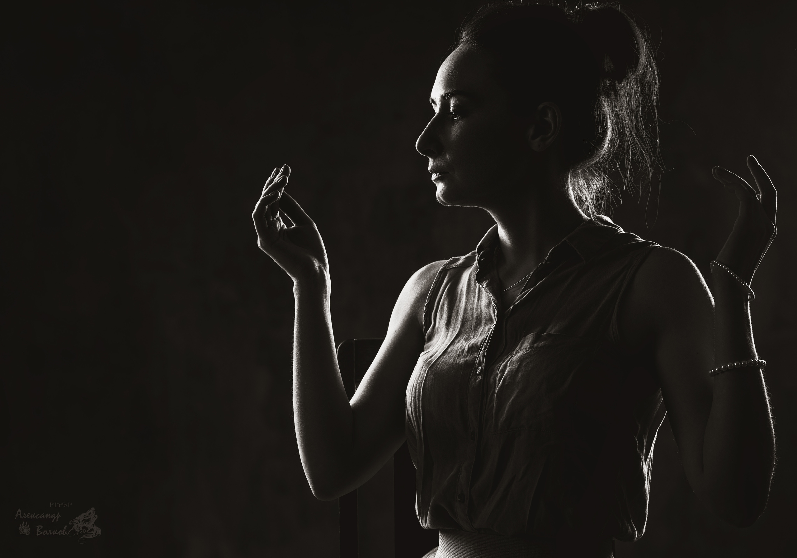 портретный фотограф волков красивое крутое  фото    лучший портрет