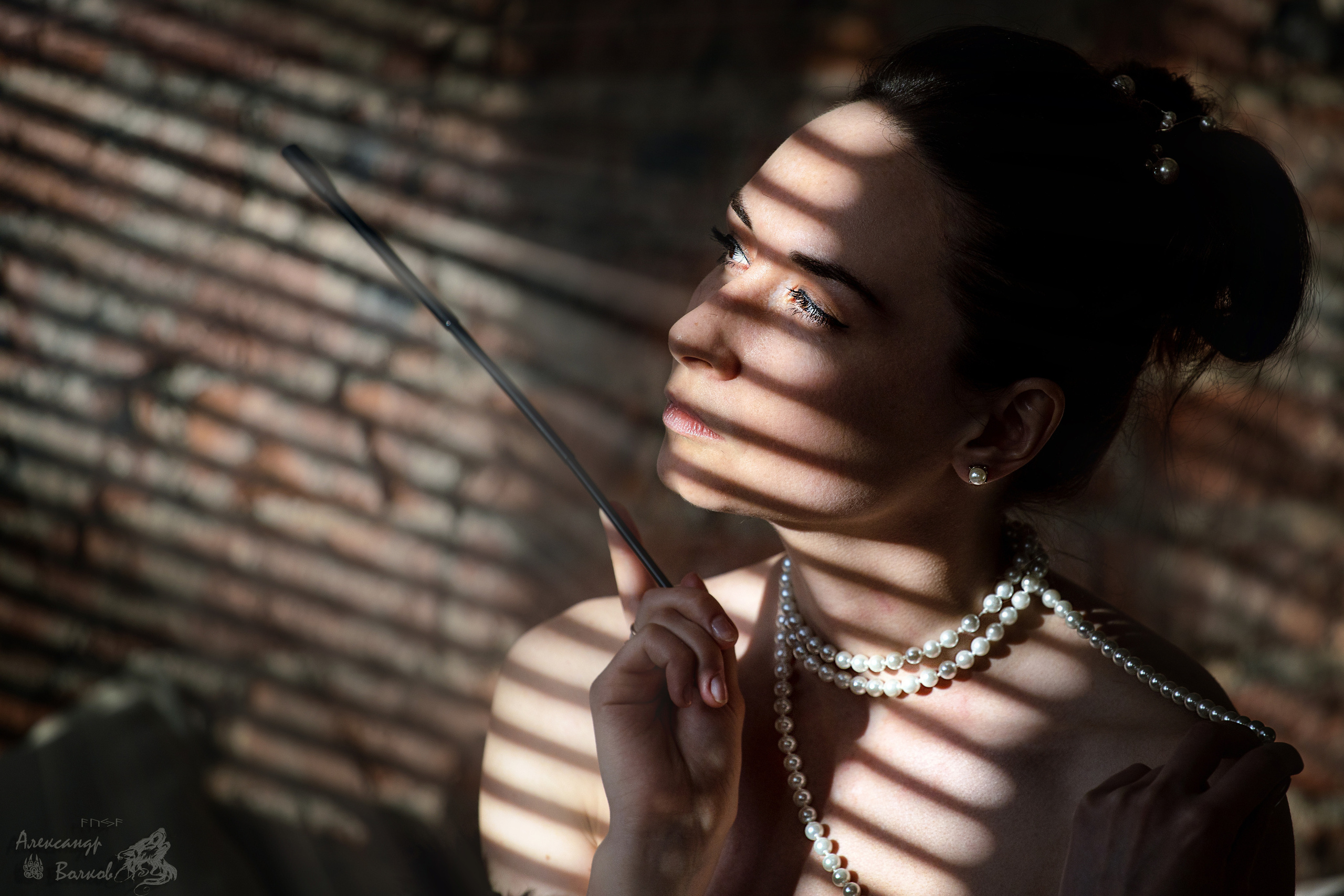 портретный фотограф волков красивое крутое  фото    лучший портрет