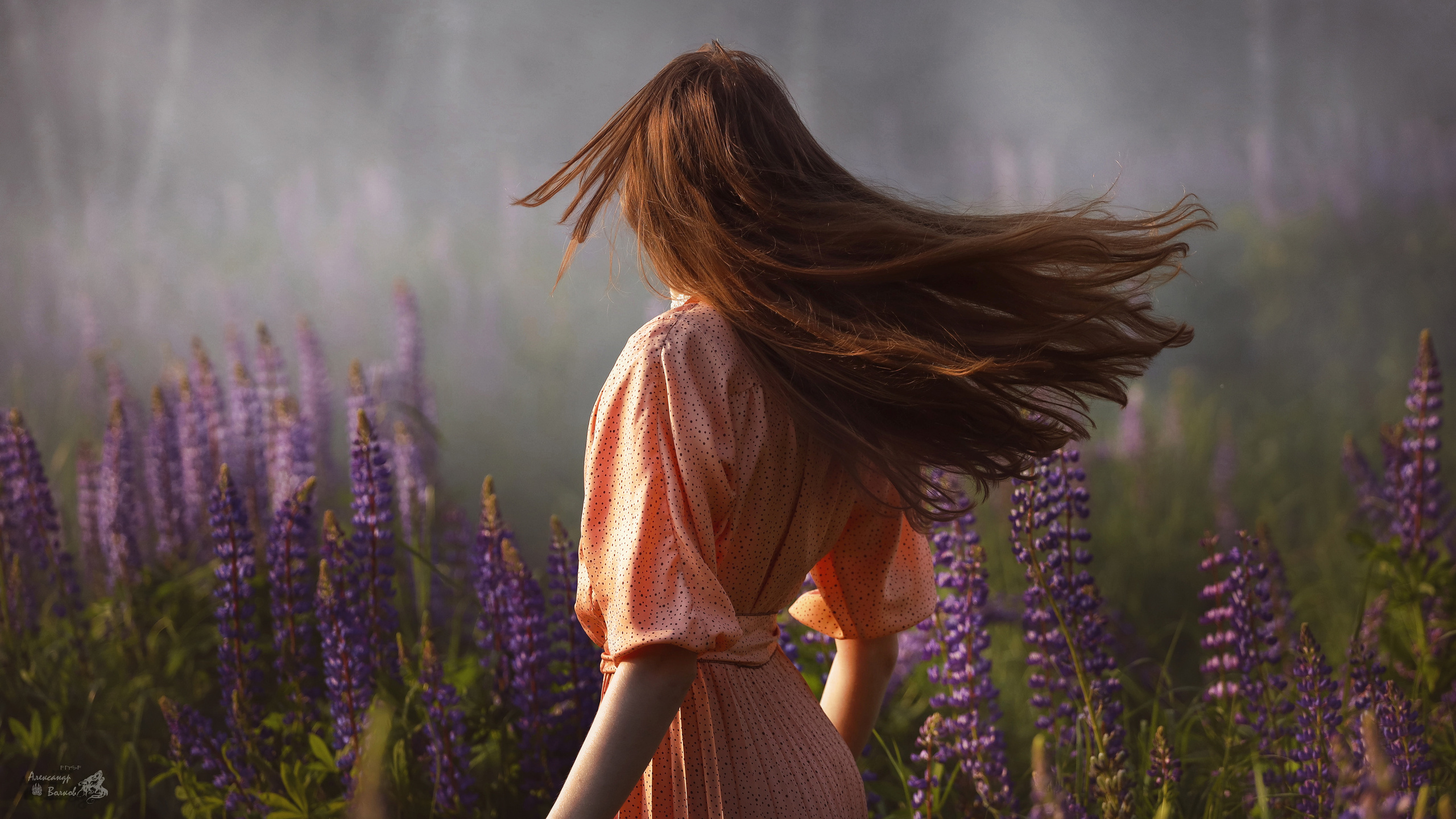 портретный фотограф волков красивое крутое  фото    лучший портрет