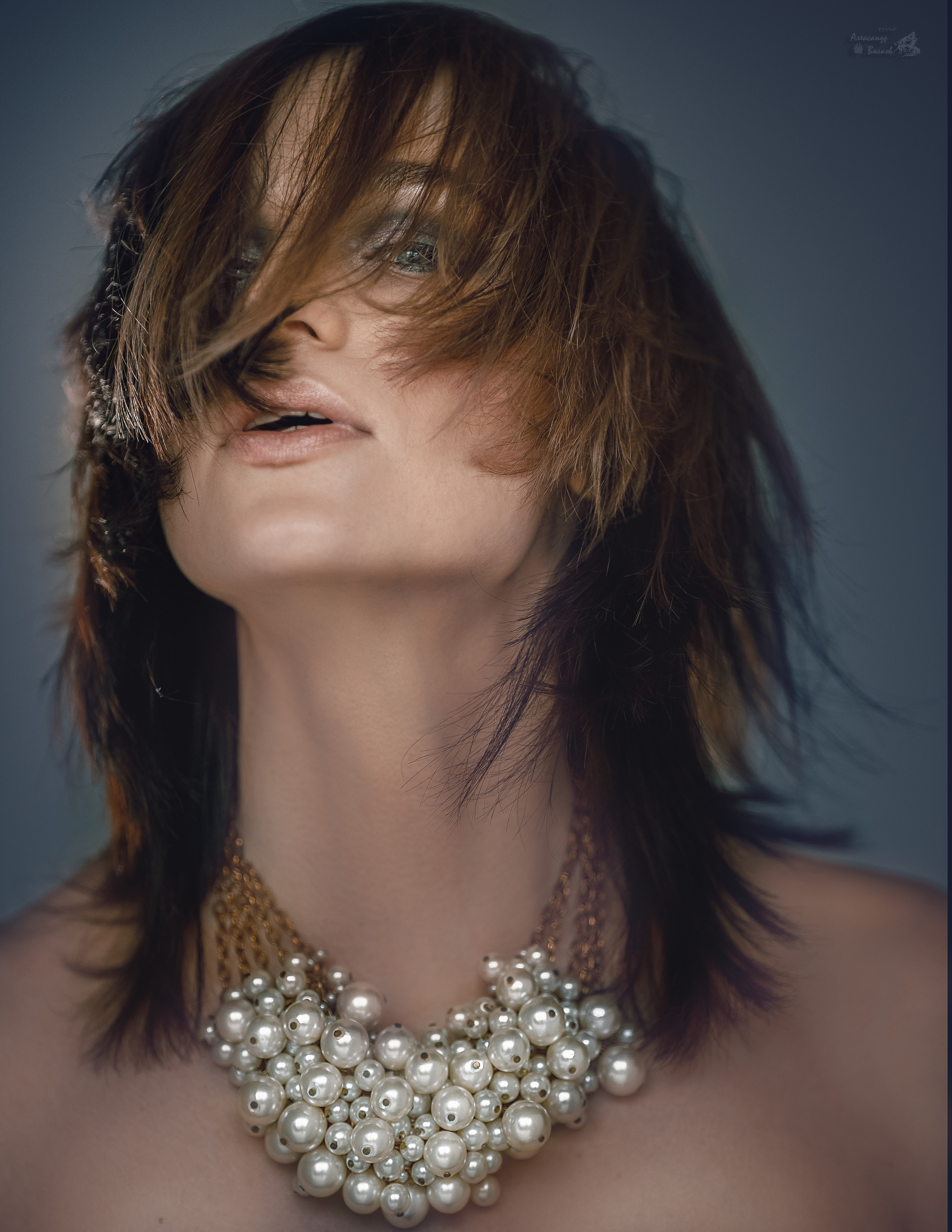 портретный фотограф волков красивое крутое  фото   осеннее фото фотография осени