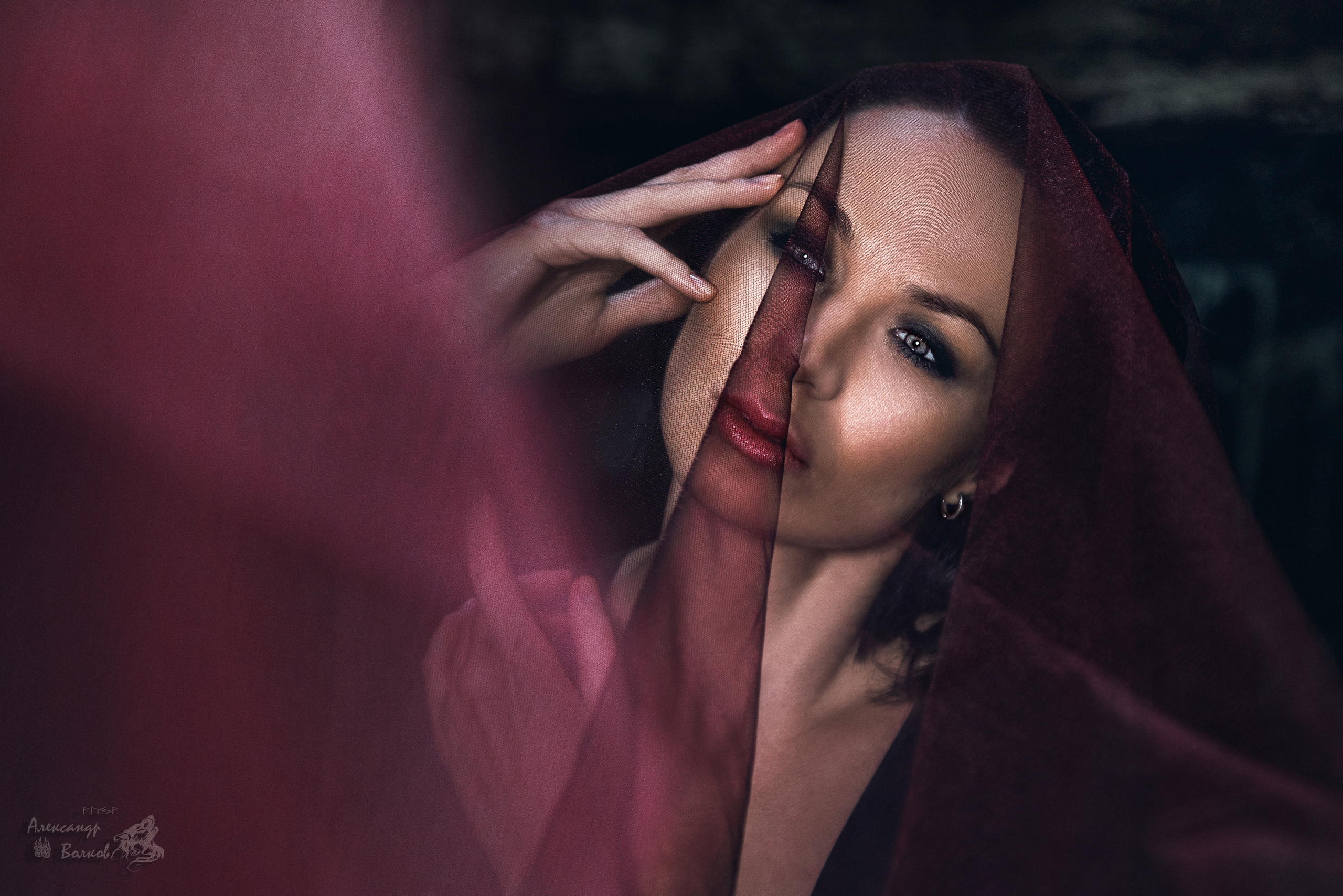 портретный фотограф волков красивое крутое  фото    лучший портрет