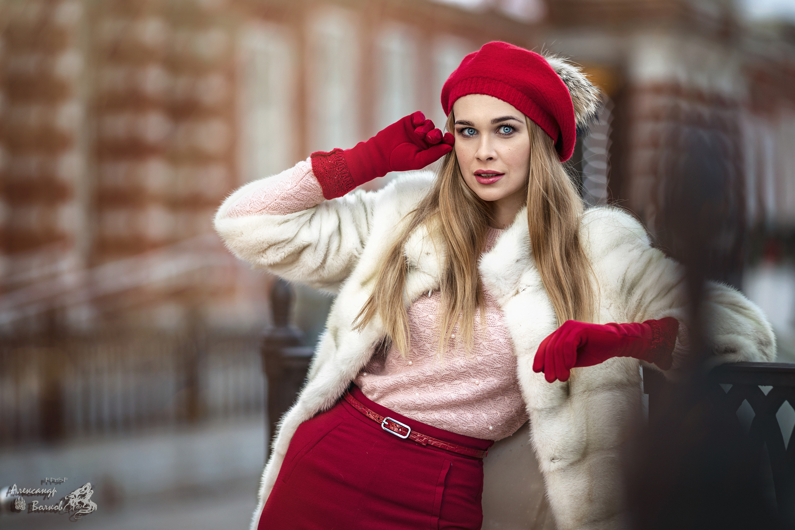 портретный фотограф волков красивое крутое  фото    лучший портрет