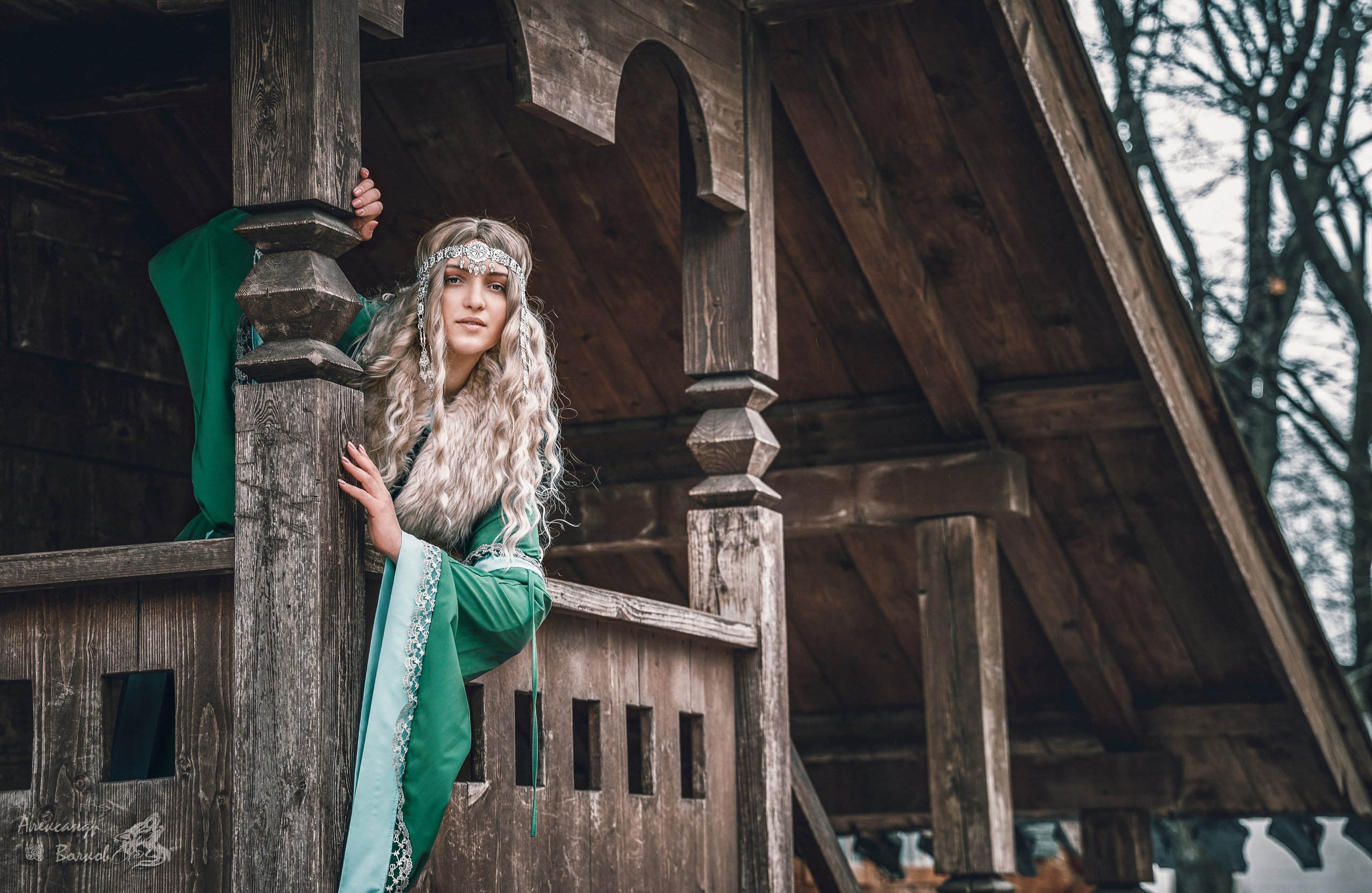 портретный фотограф волков красивое крутое  фото    лучший портрет