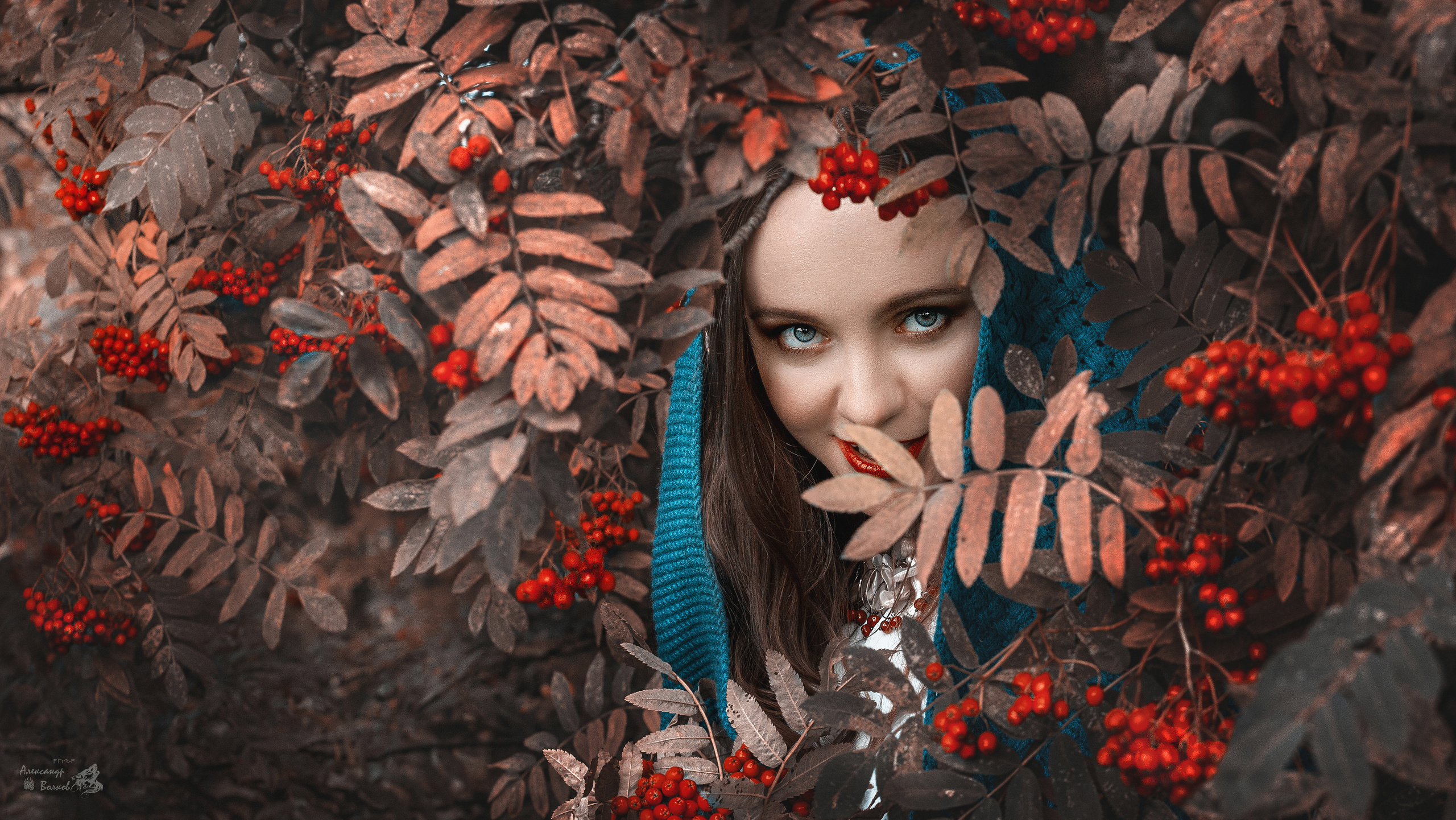 портретный фотограф волков красивое крутое  фото    лучший портрет рябина и девушка