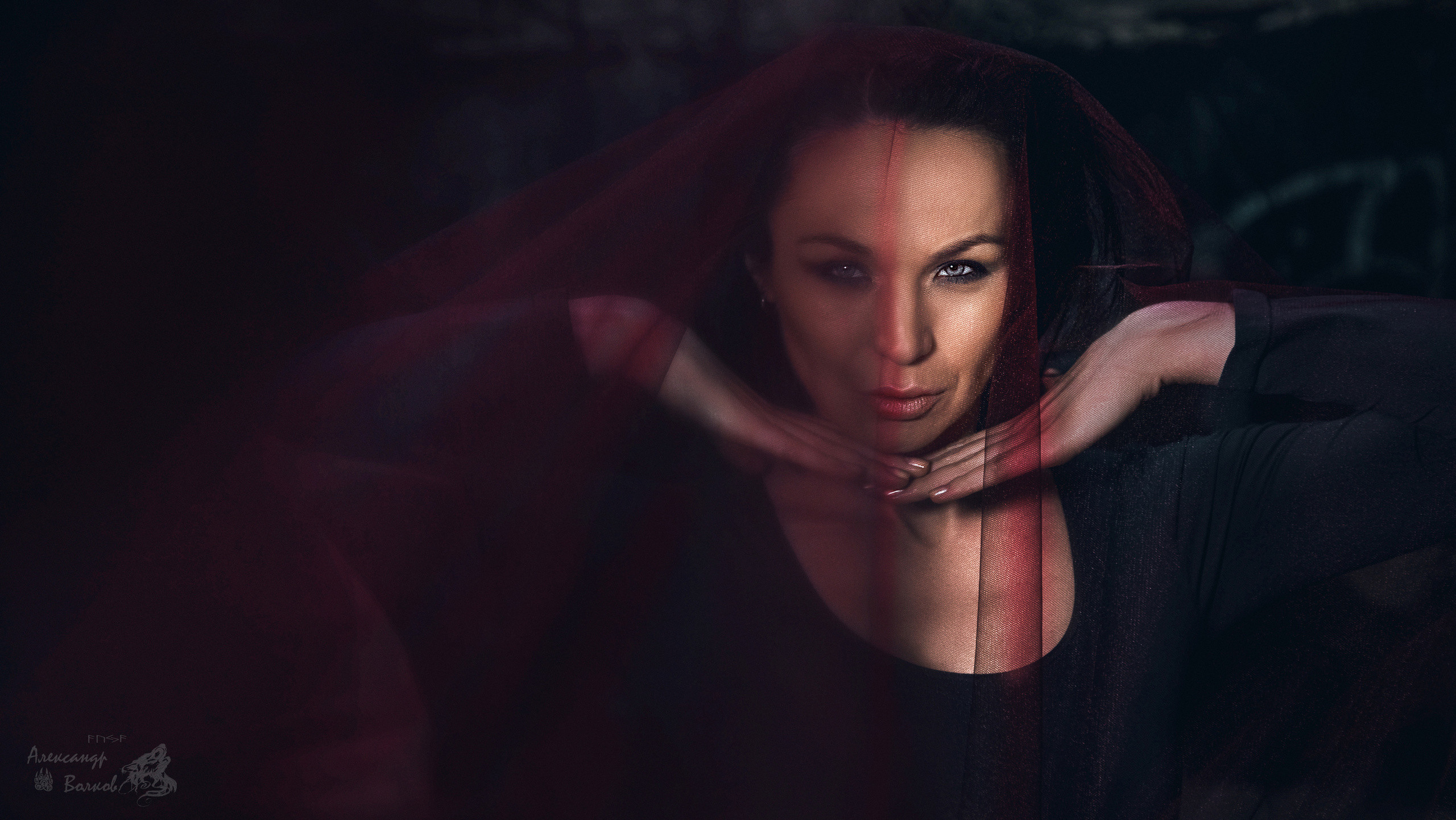 портретный фотограф волков красивое крутое  фото    лучший портрет