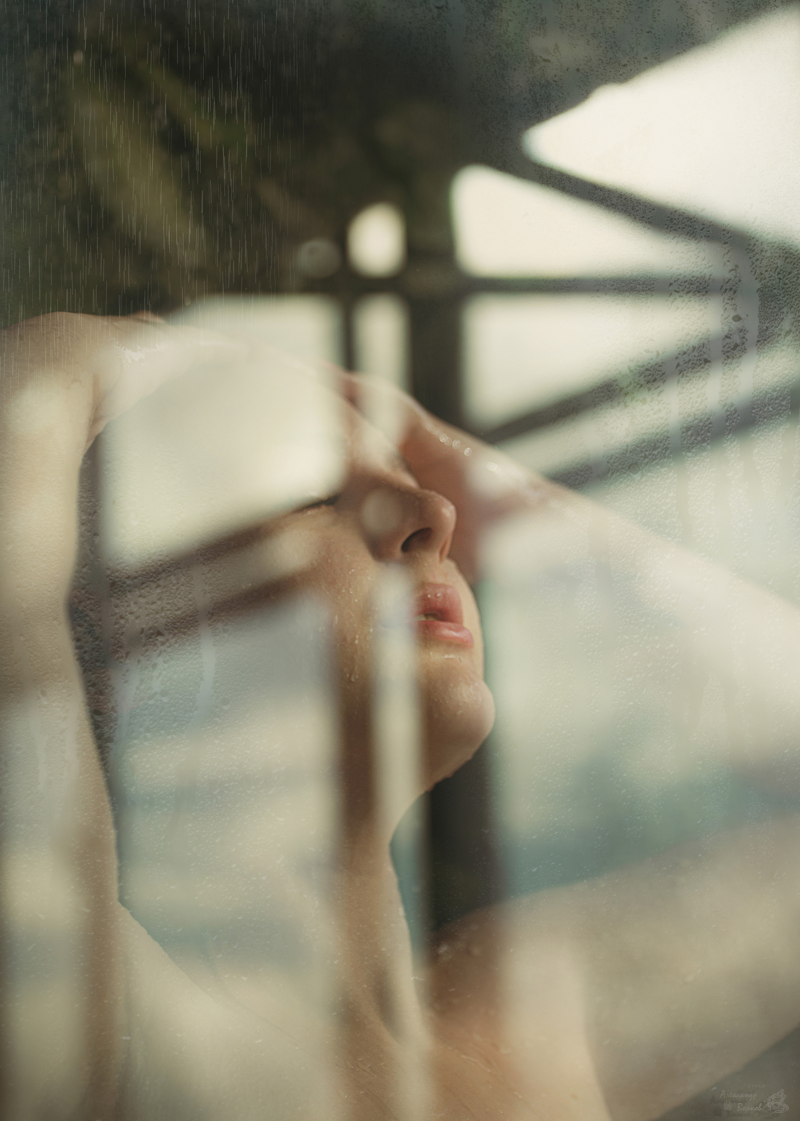 портретный фотограф волков красивое крутое  фото    лучший портрет