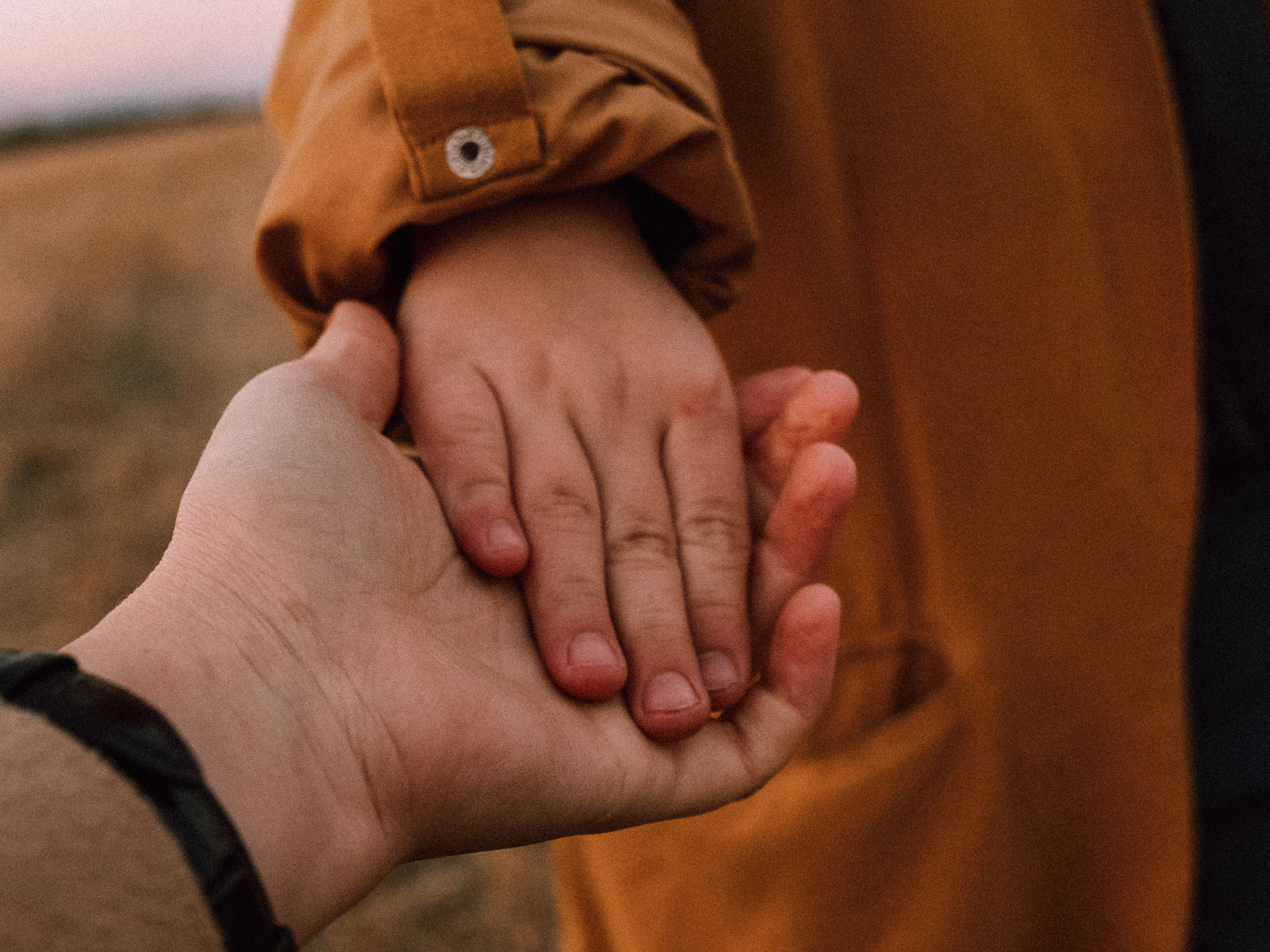 Сорочьи горы и полынь. Семейный фотограф в Казани Наташа Трофимова