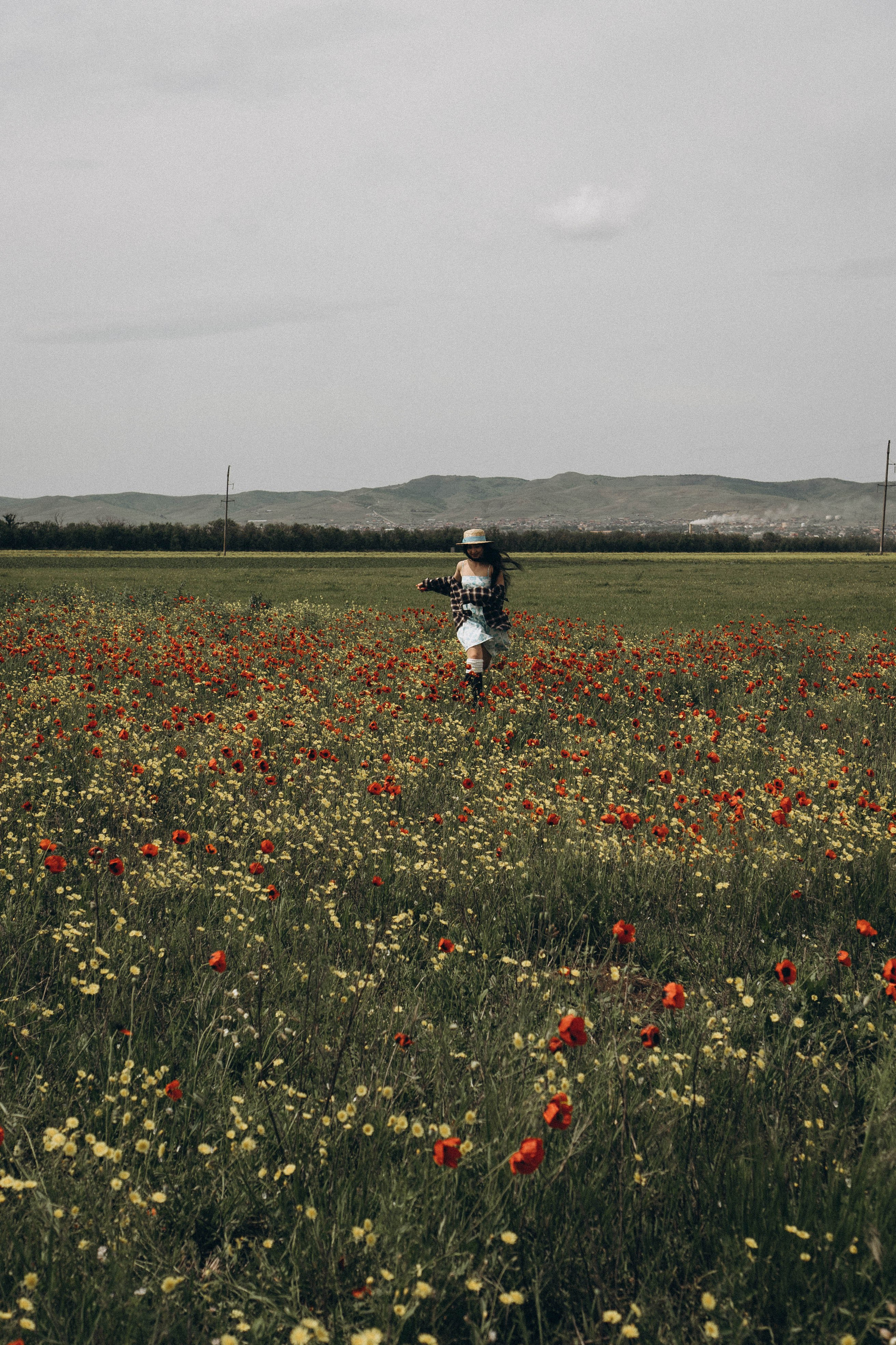 Цветочная поляна. Профессиональный фотограф, Санкт-Петербург — Виктория Богомолова