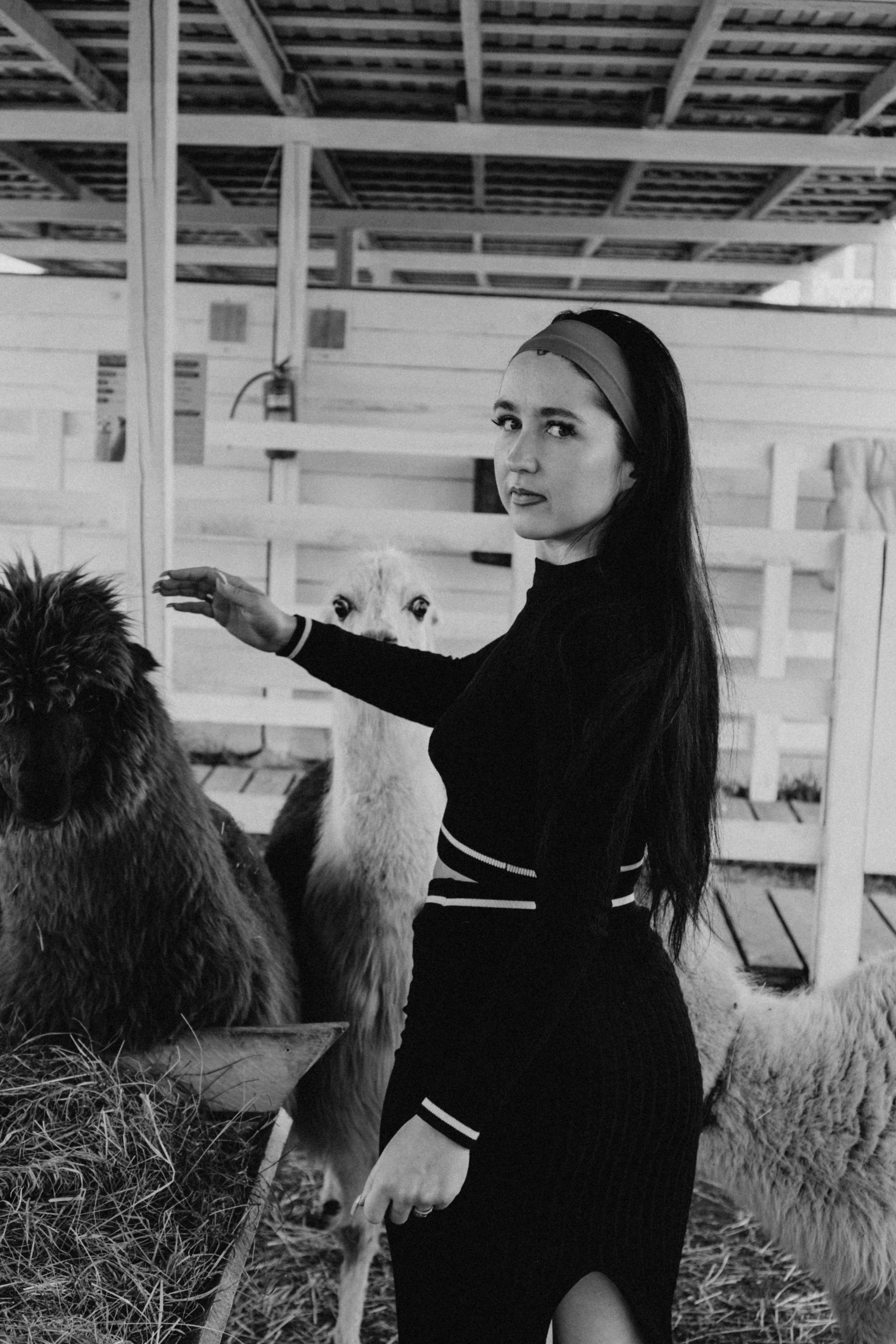 Ферма Альпак. Профессиональный фотограф, Санкт-Петербург — Виктория Богомолова