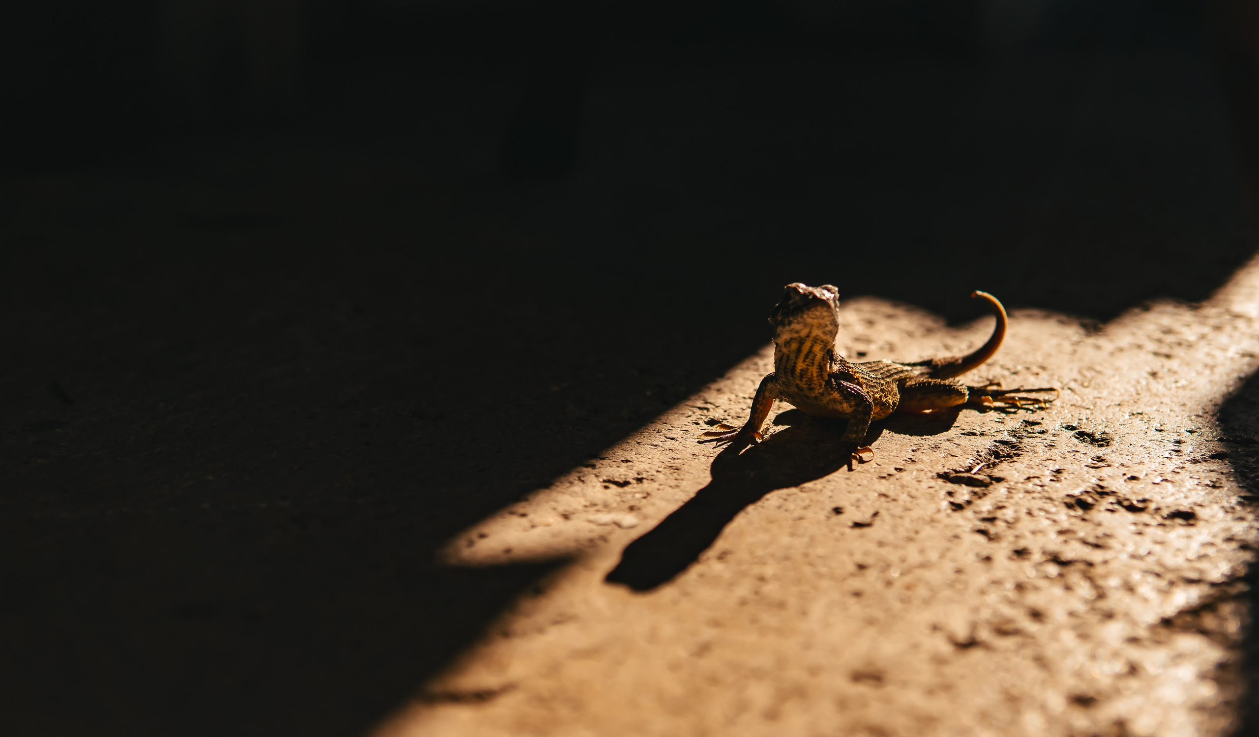 Кубинские истории. Фотограф в Москве Юлия Першина