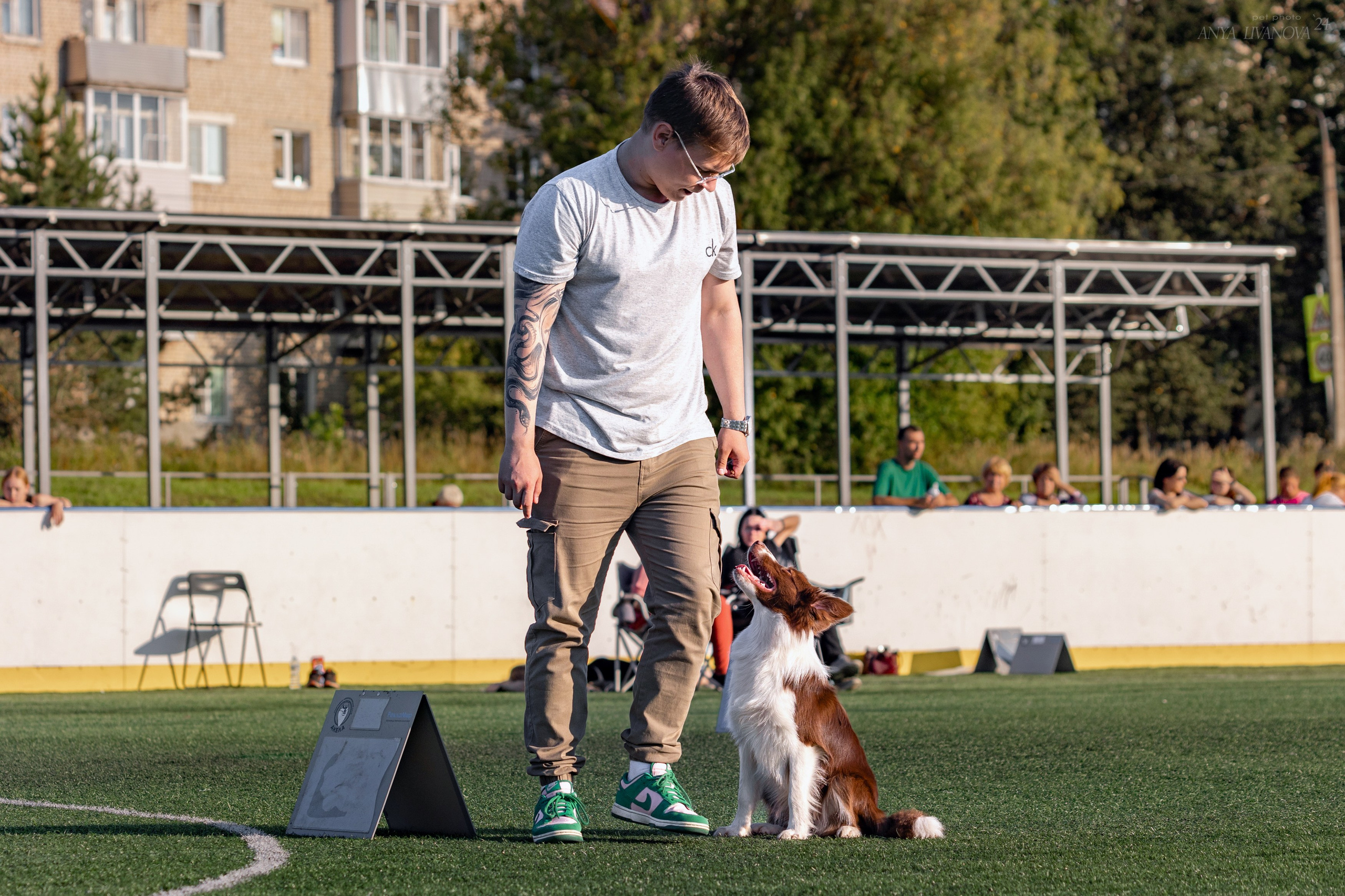 Ралли обидиенс. Фотограф анималист Аня Ливанова | Рыбинск