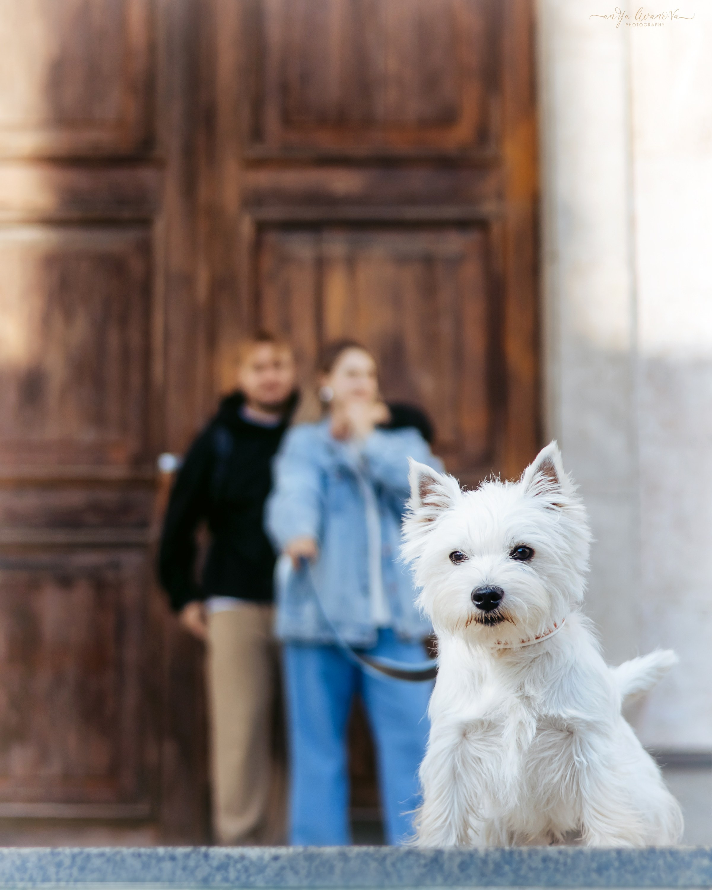 Полина — Артём и Тофу. Фотограф анималист Аня Ливанова | Рыбинск
