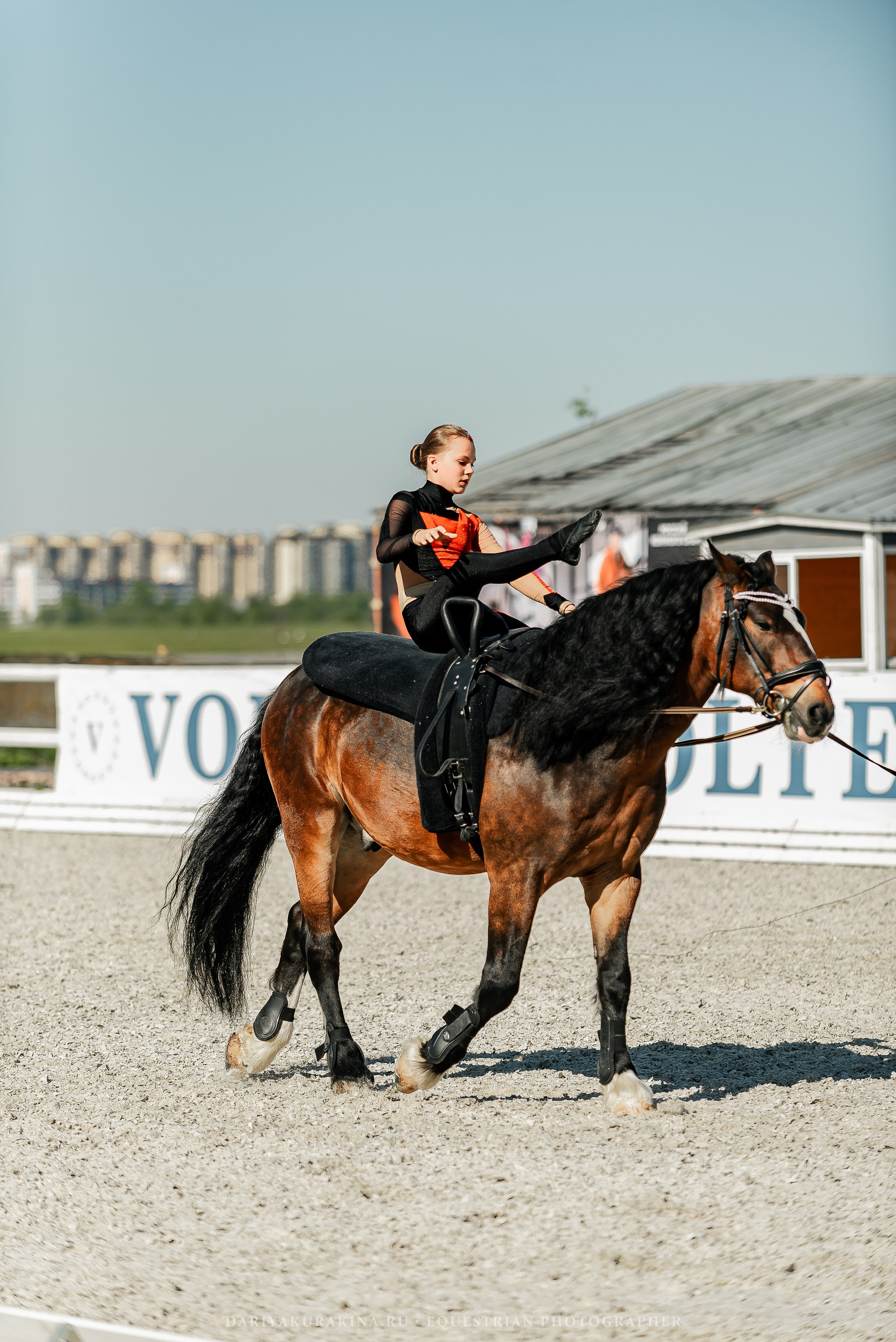 РЕПОРТАЖ МКК ВОЛЬТ «LA TULIPS». Конный фотограф Куракина Дарья • Фотосессии с лошадьми