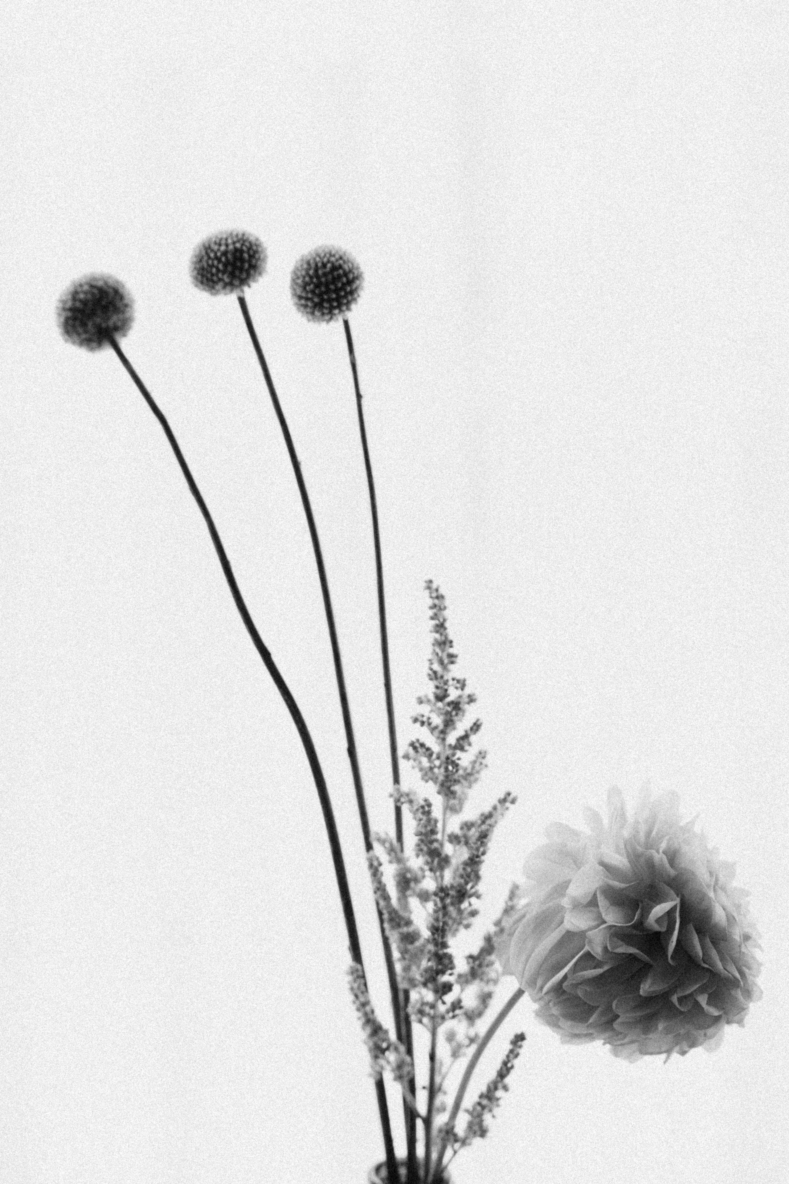 Солнцестояние. Свадебный фотограф Наташа Алешина