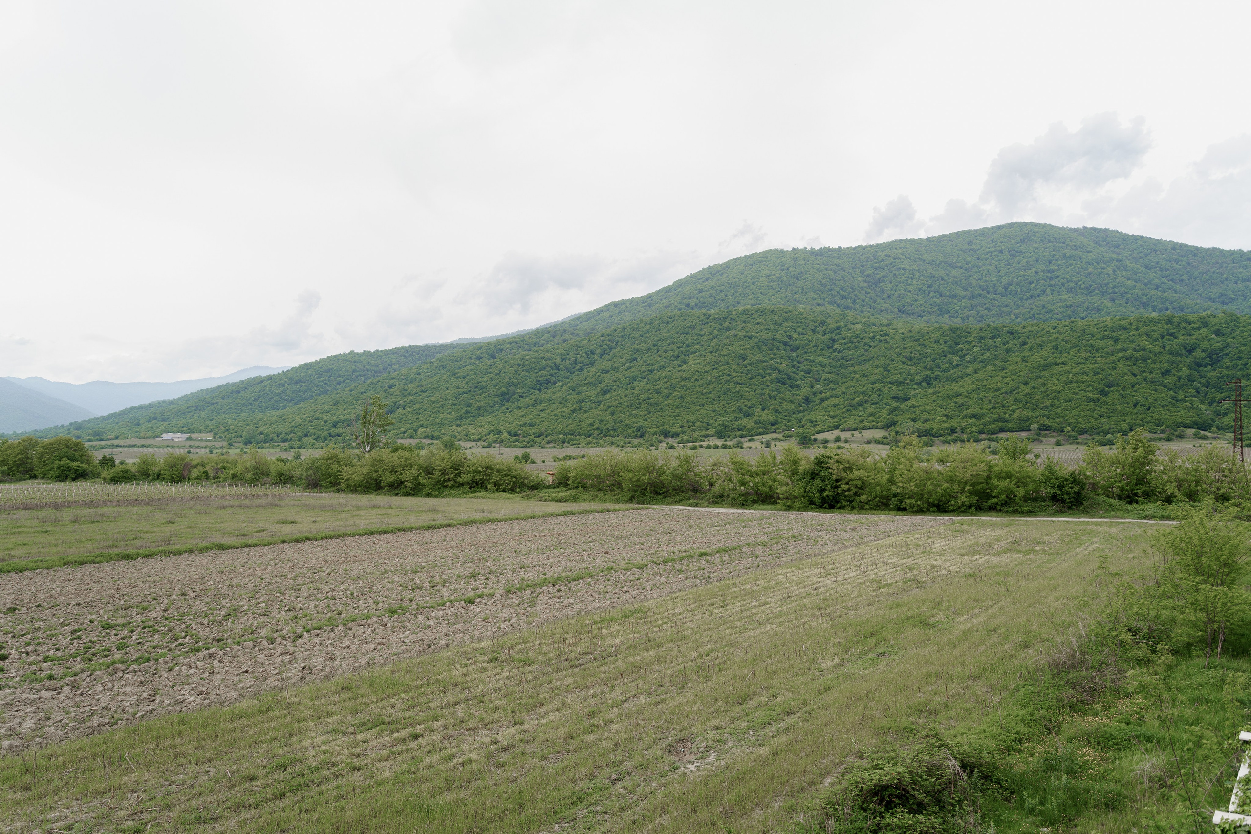 Кахетия: Семён и Лейла. Свадебный и индивидуальный фотограф Татьяна Гуляева