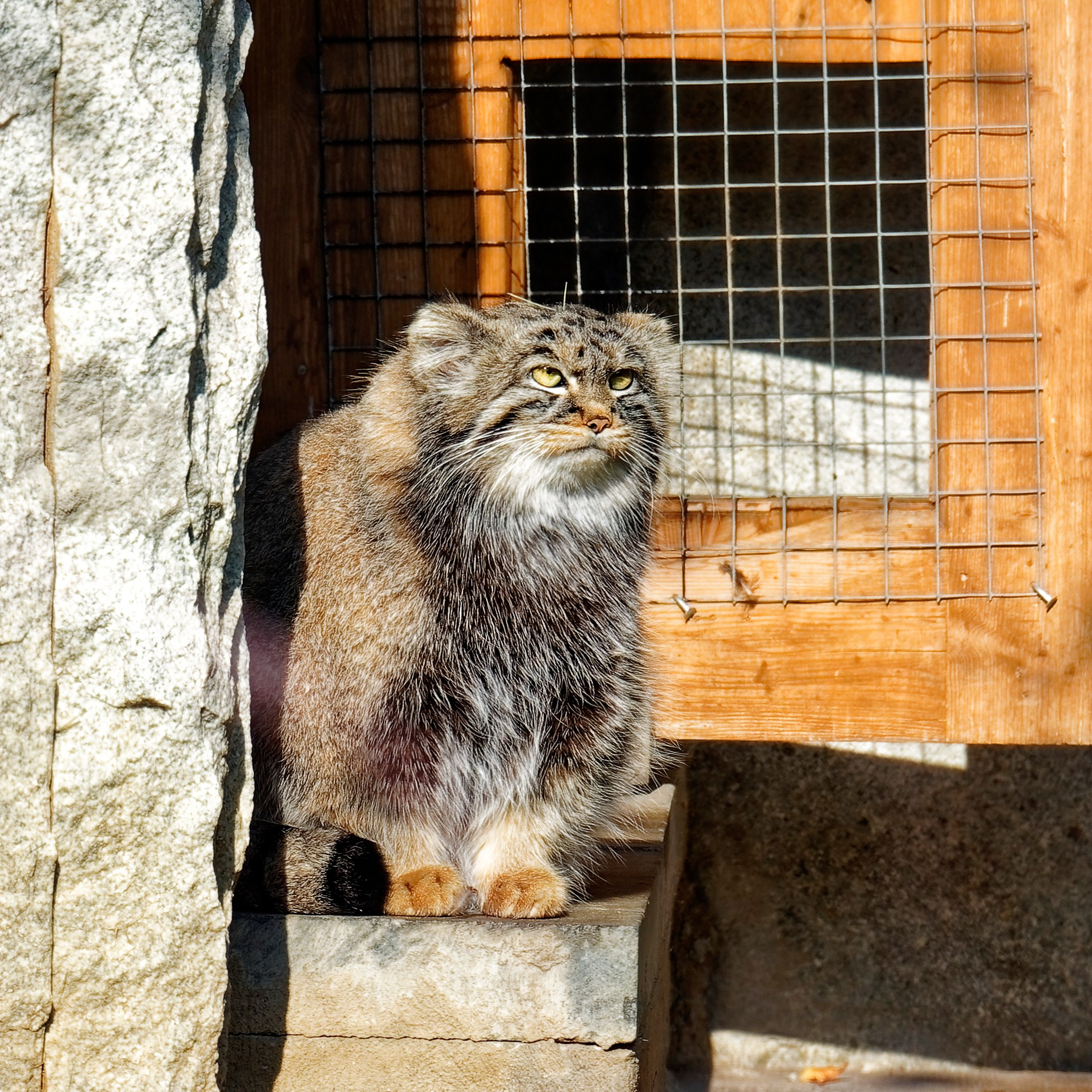 МОСКОВСКИЙ ЗООПАРК. Фотограф Владимир Роля