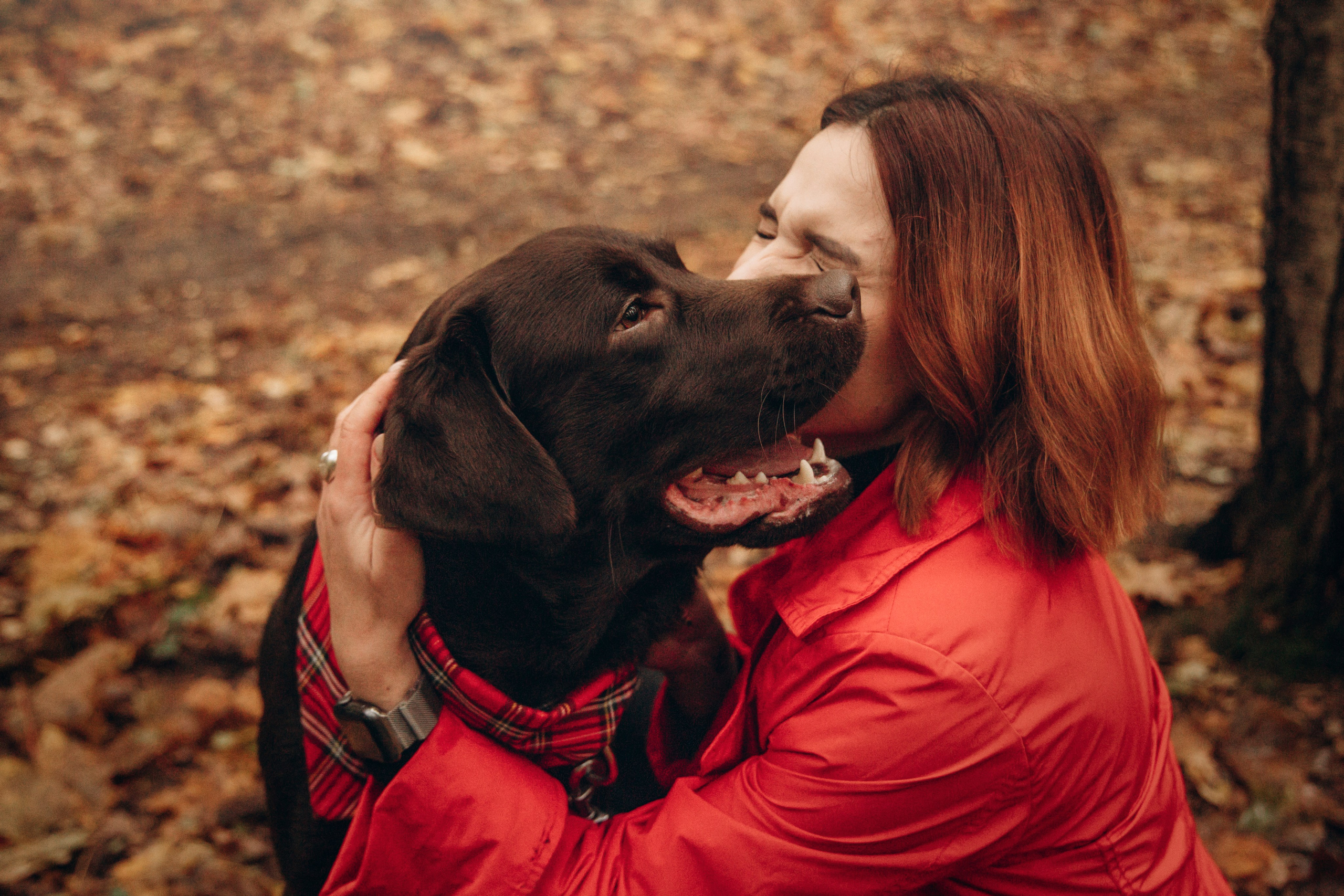 Арина и Сэмми. Фотограф — Анималист | Санкт-Петербург