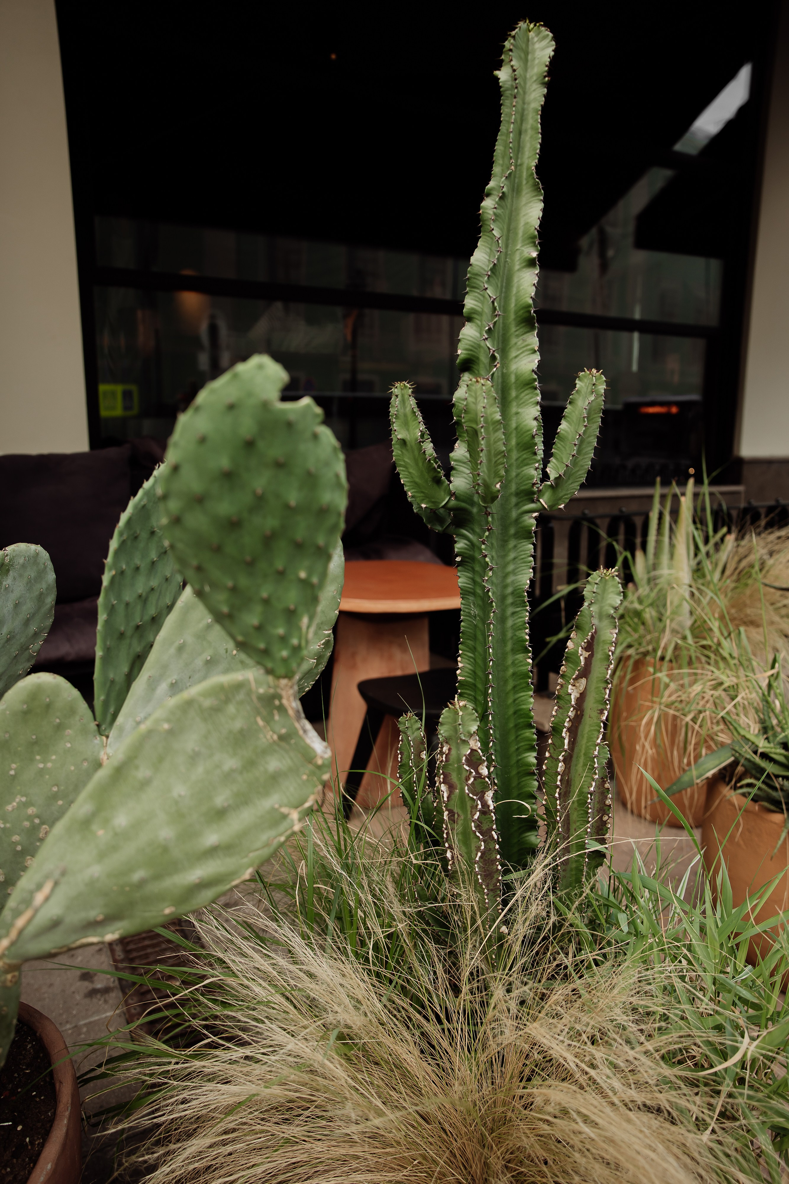 МАРИНА, МОСКВА. Свадебный и индивидуальный фотограф в Челябинске Евгения Негодяева