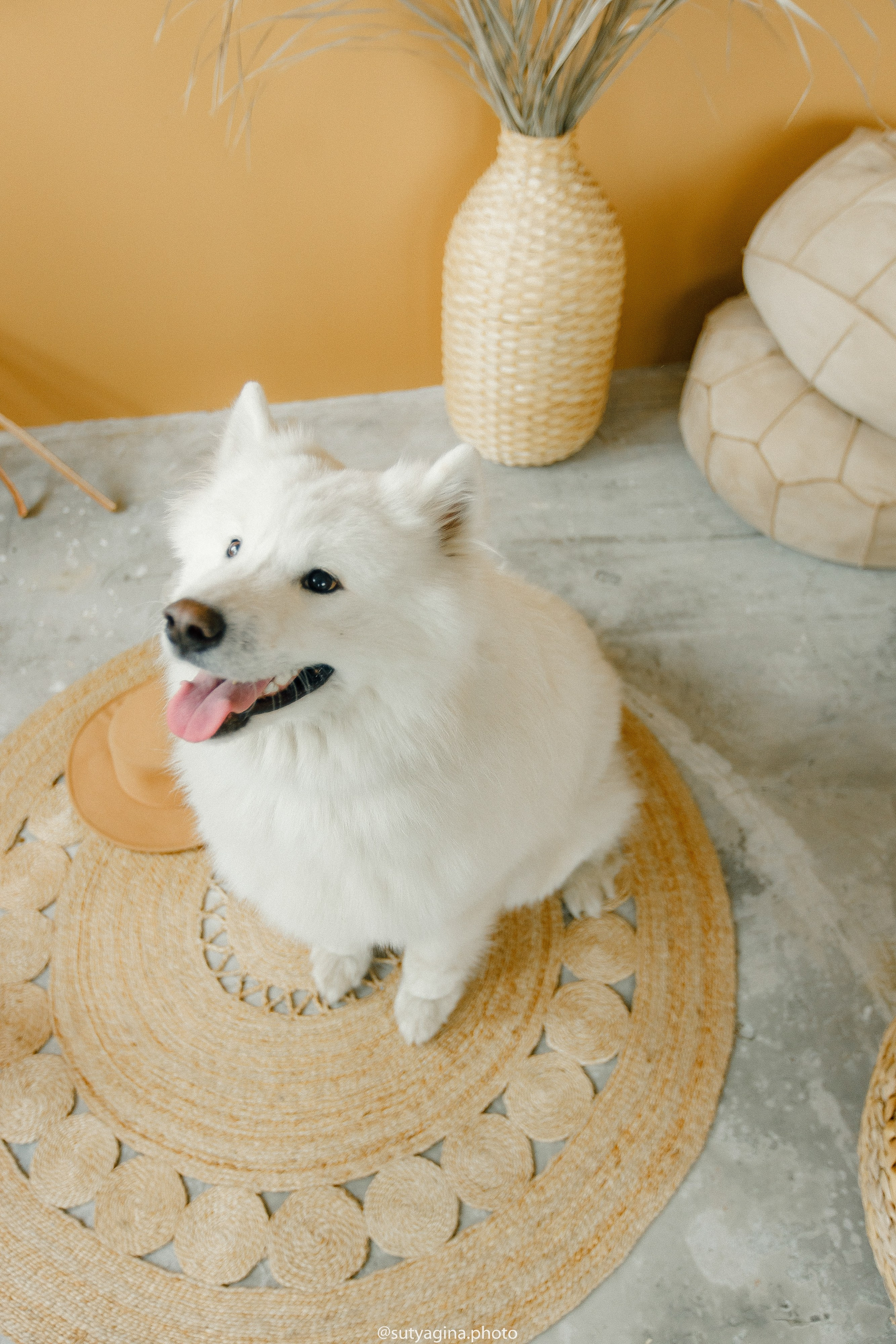 Самоед Мартин. Свадебный и женский фотограф