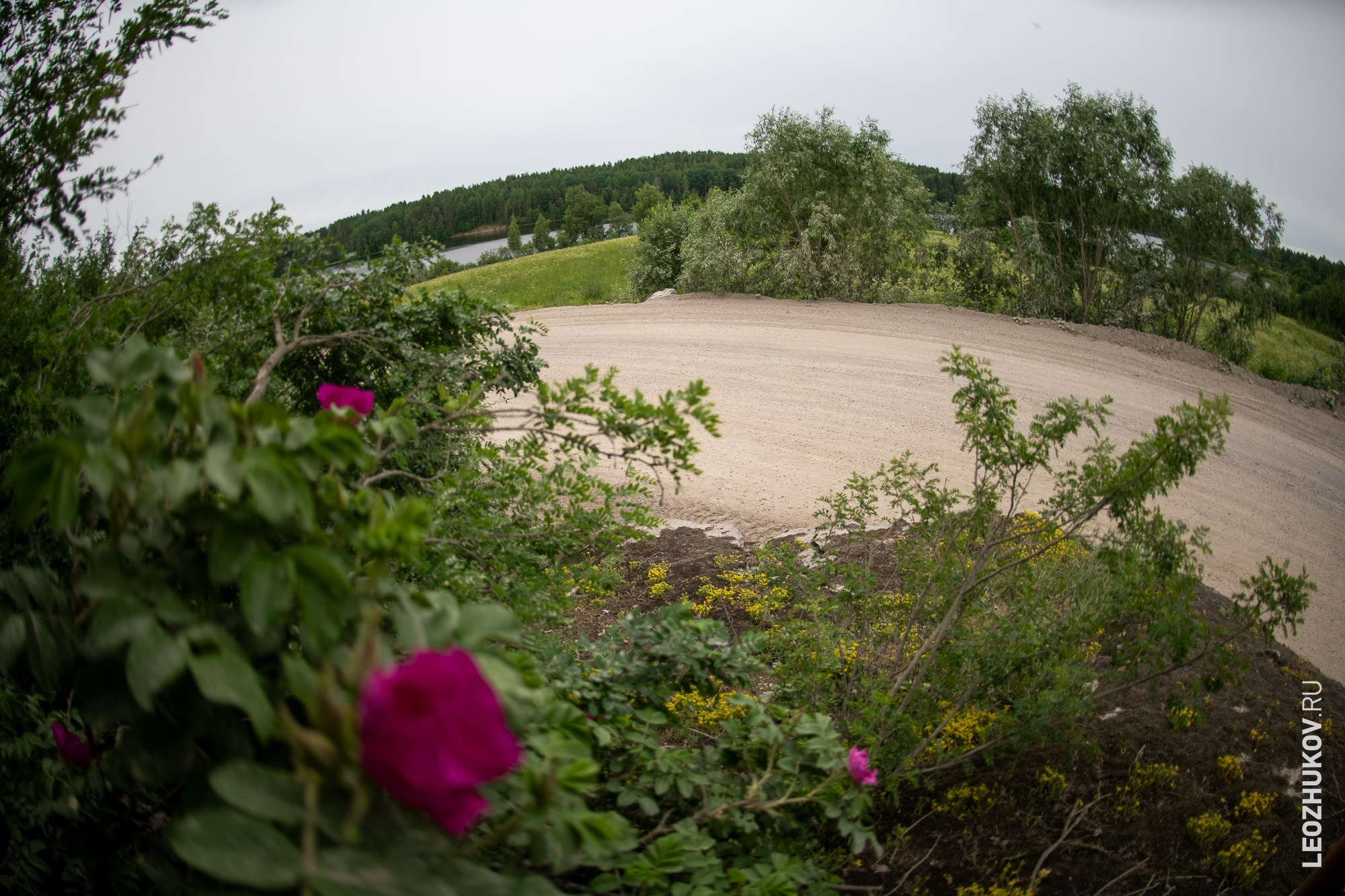 Ралли Белые ночи 2024. Спортивный фотограф Леонид Жуков