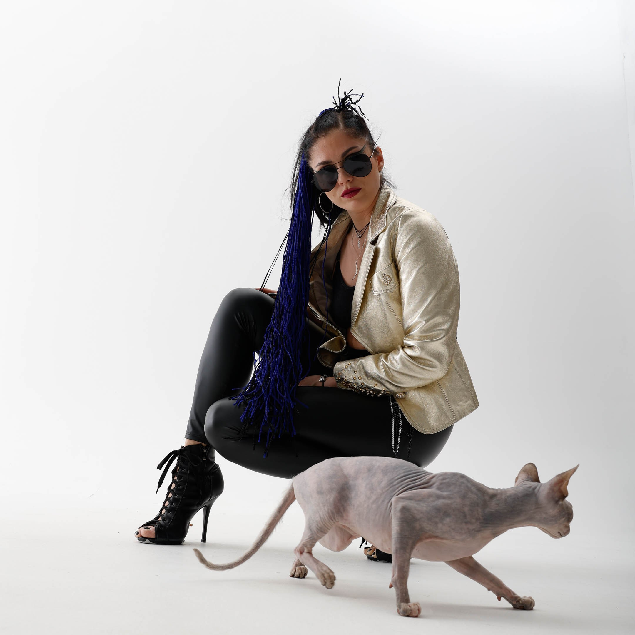 40 cats. ITMAG.ME | Visual Art