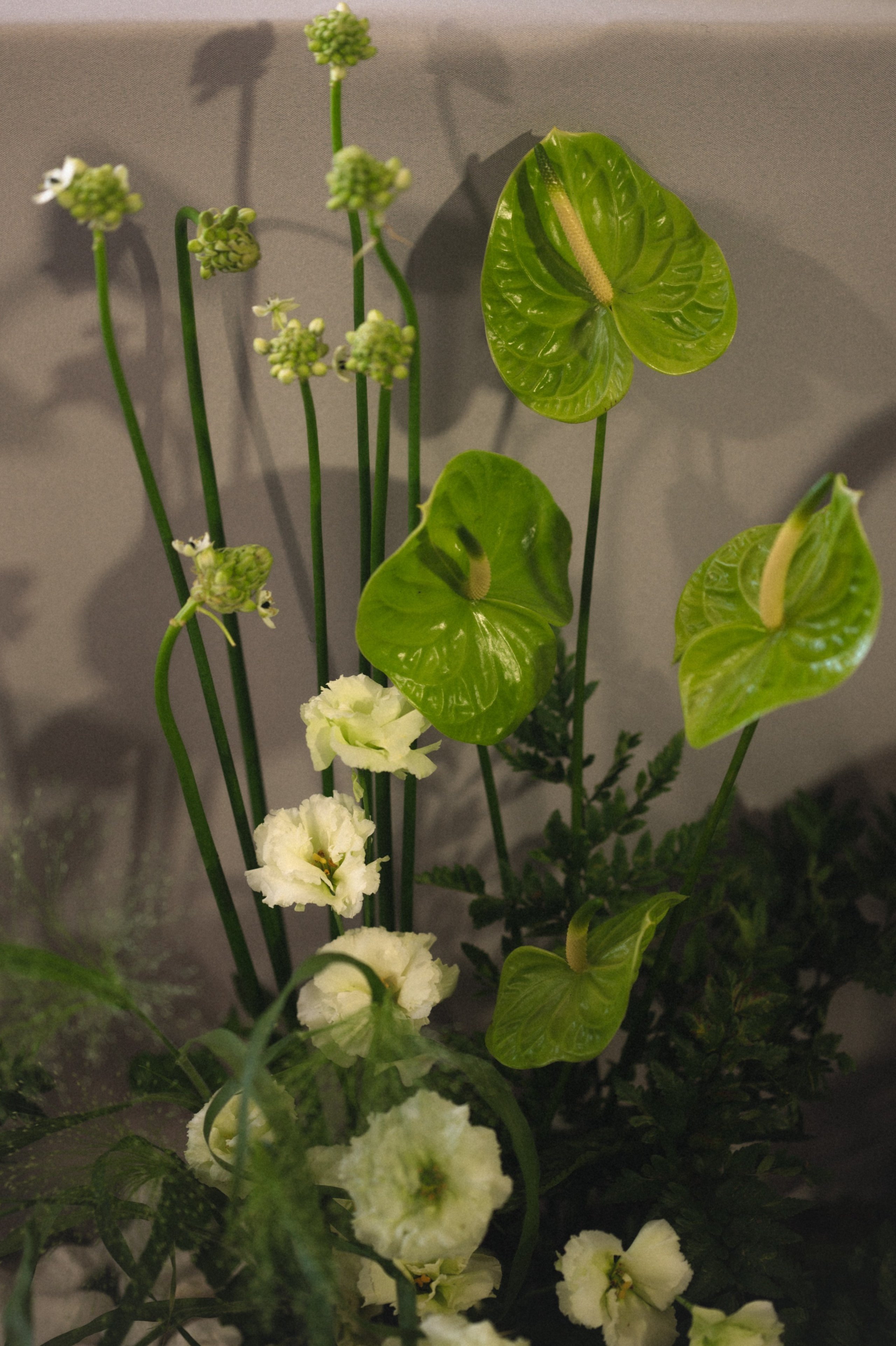 Мария и Никита. Бунгало в Москве.Аренда Бунгало в Мск