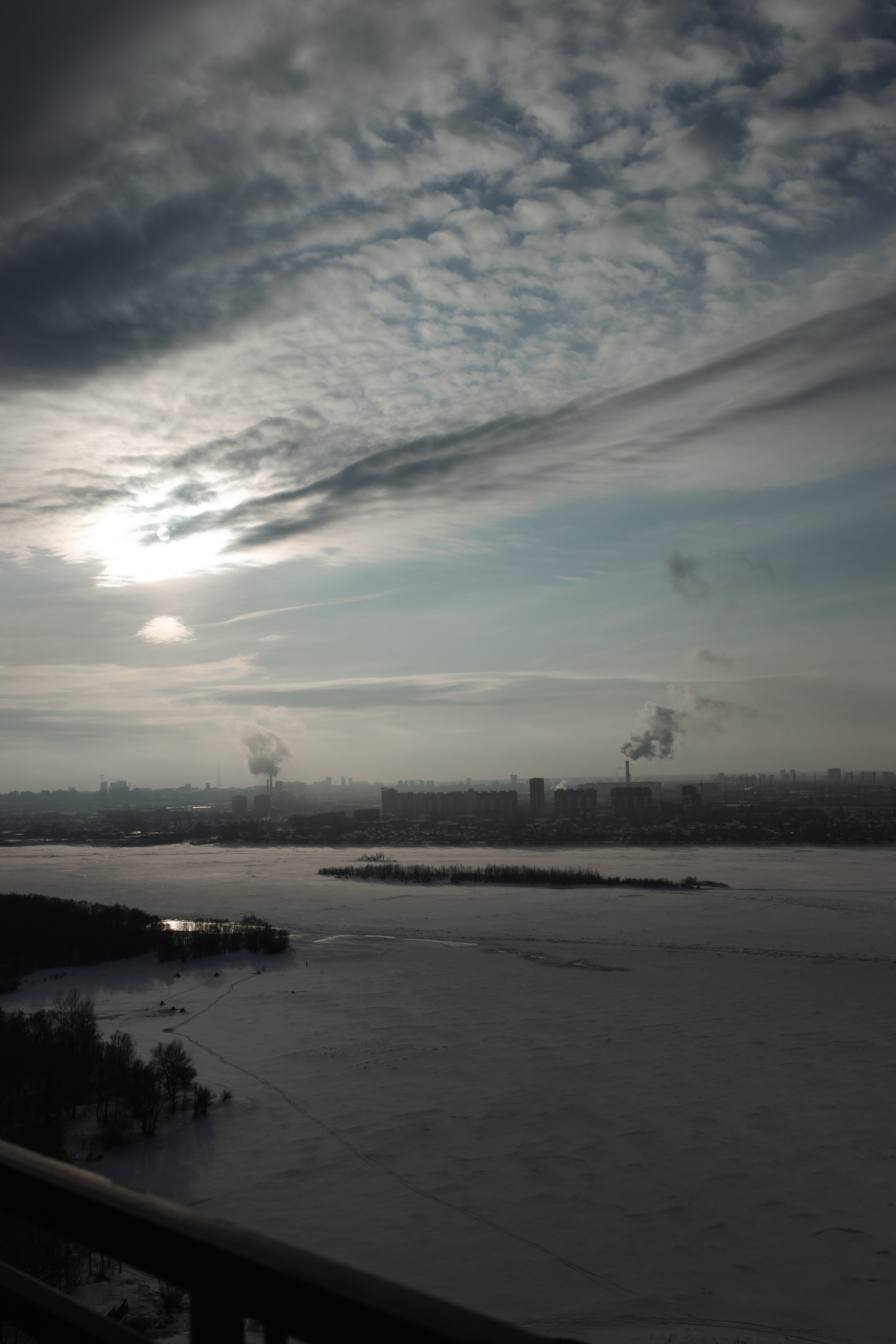 Гордей. Фотограф Новосибирск