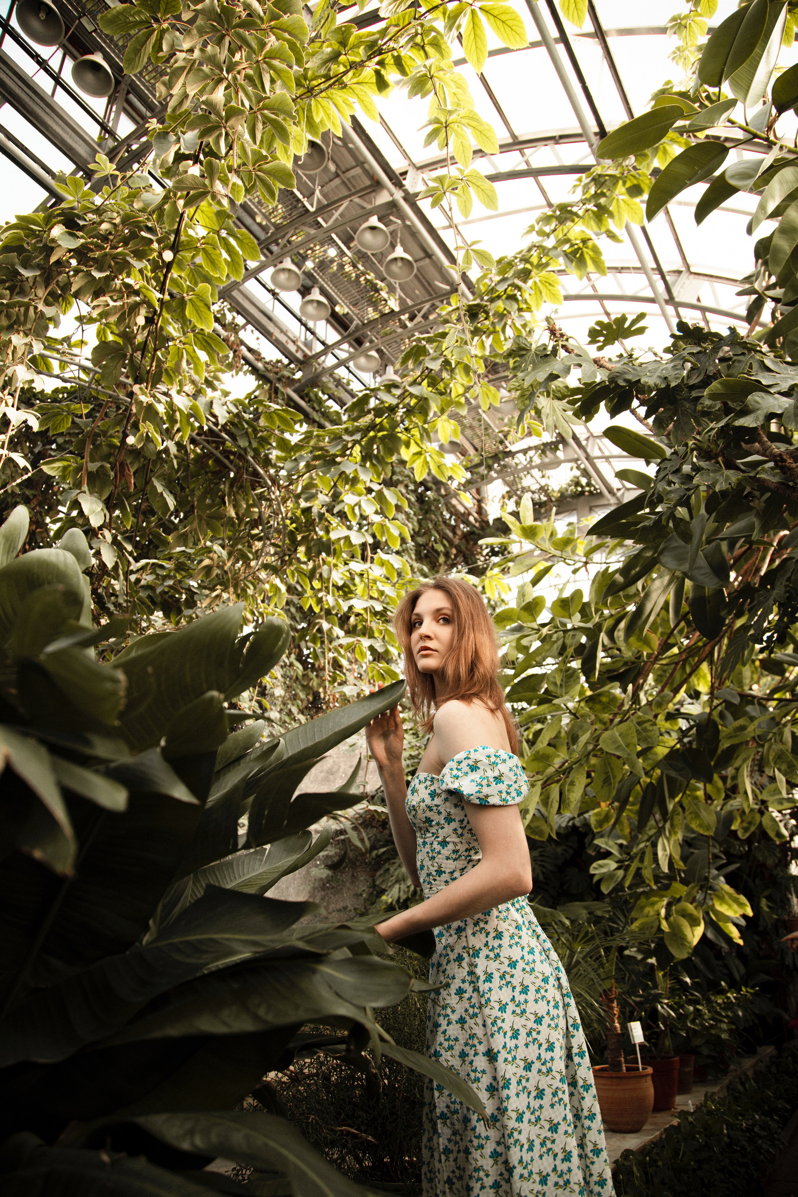 Оранжерея Таврического сада