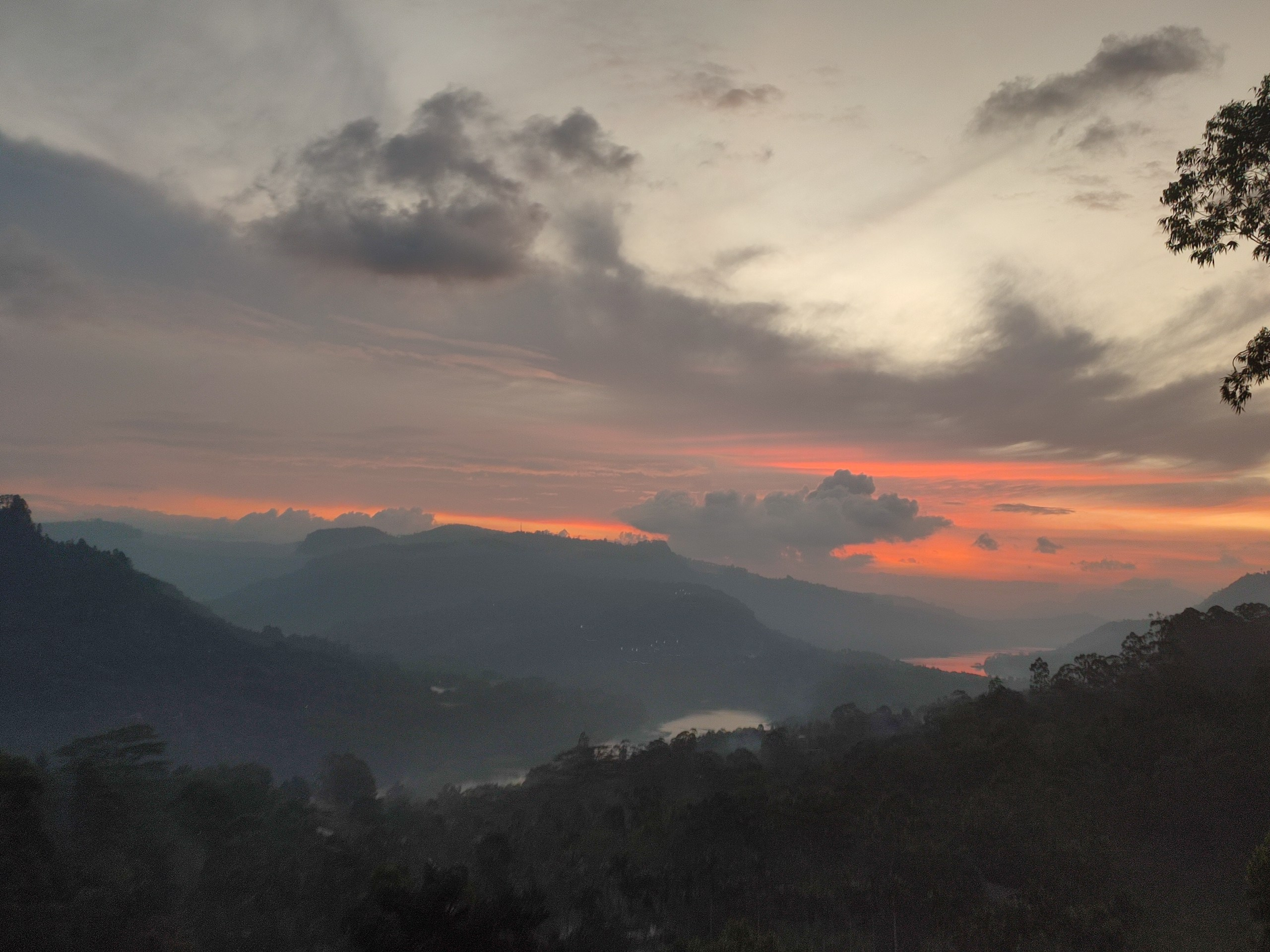 Шри-Ланка | 31.01 — 10.02.2025. Галерея Фантим