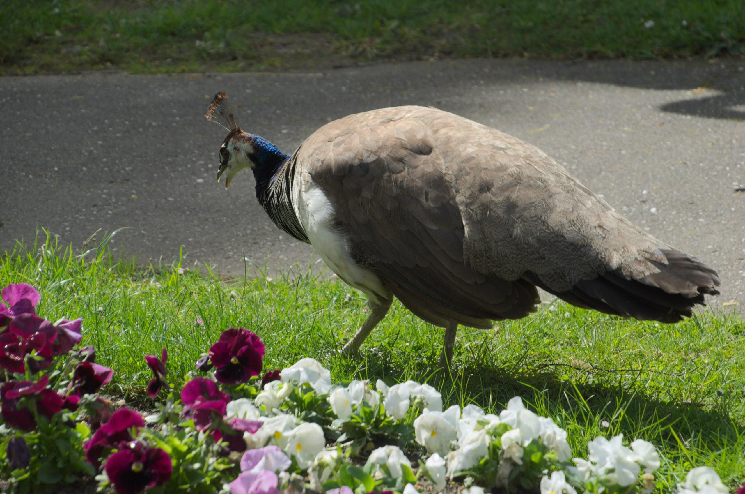 Чехия | 06-09.05.2017. Галерея Фантим