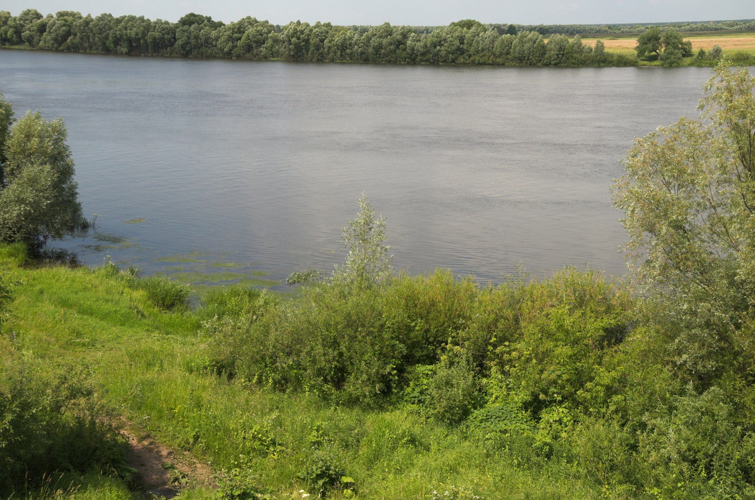 Константиново | 16.07.2017. Галерея Фантим