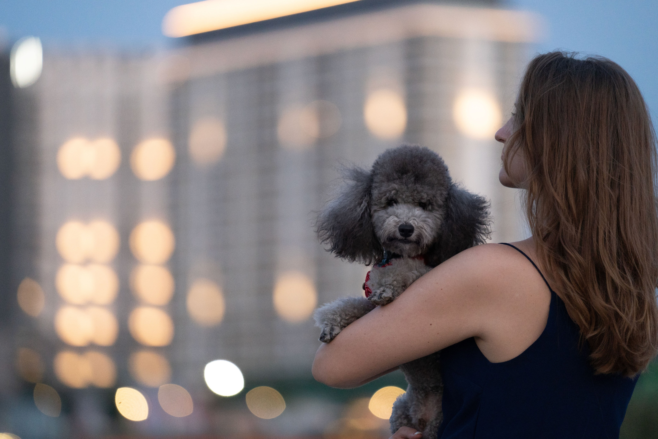 В Белграде на набережной. Фотограф анималист