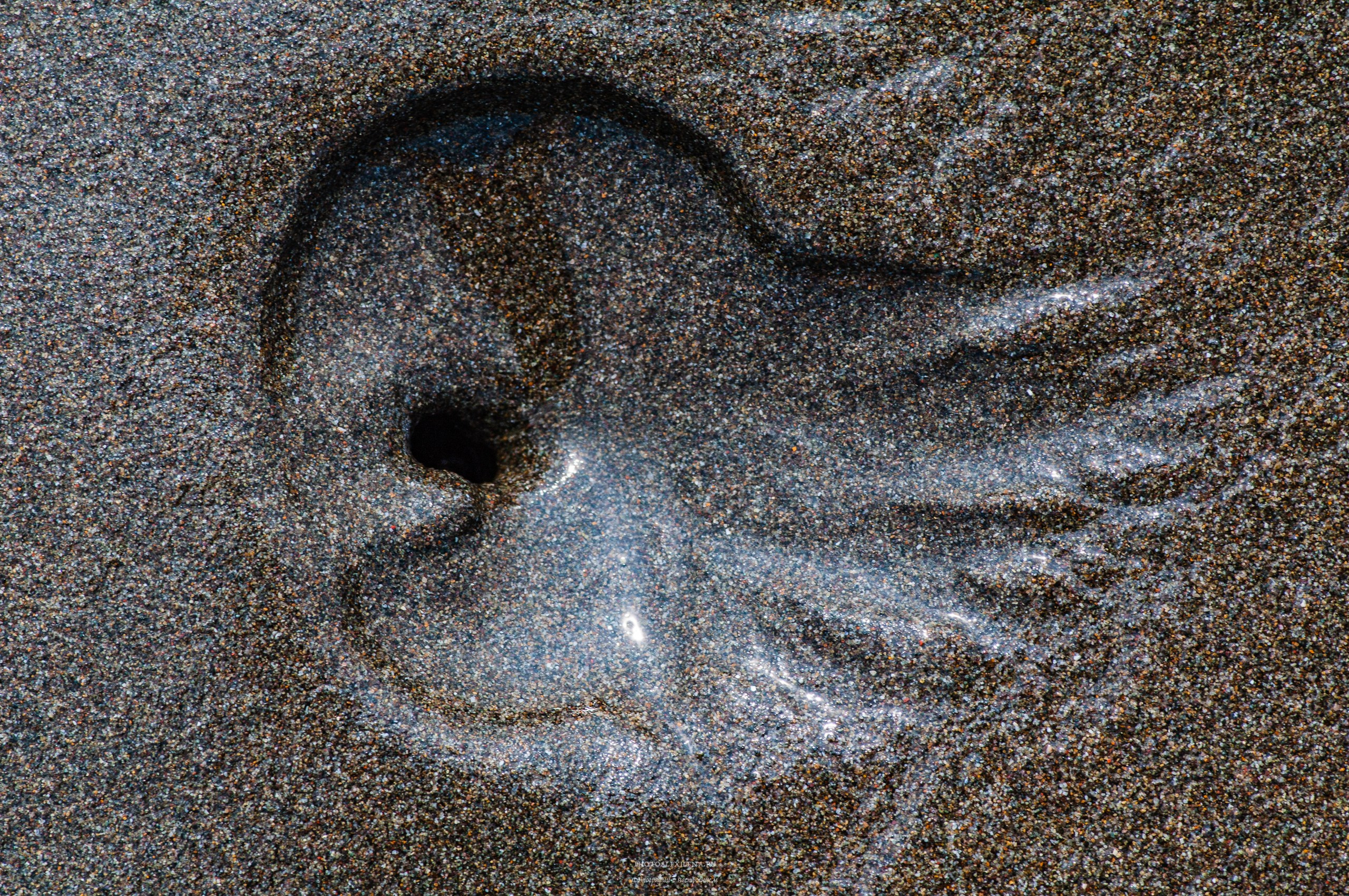 Осязаемая красота. Авторские стильные фотокартины