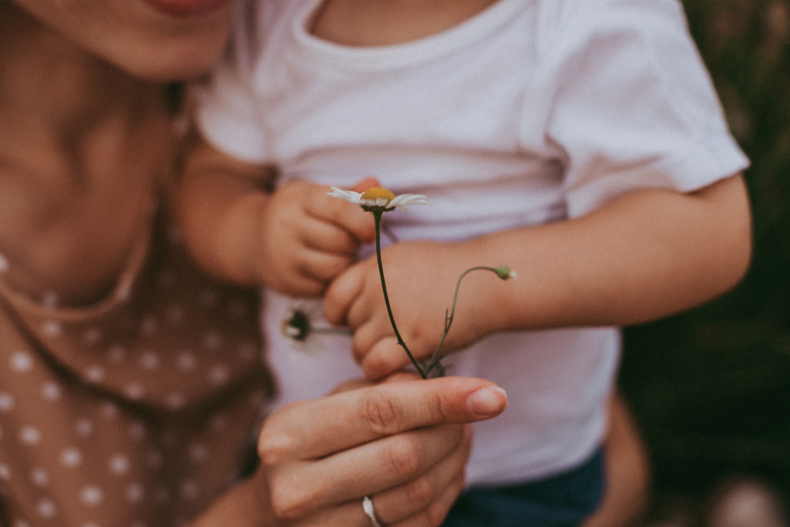Золотые колосья. Детский и семейный фотограф, Newborn фотограф новорожденных г. Челябинск