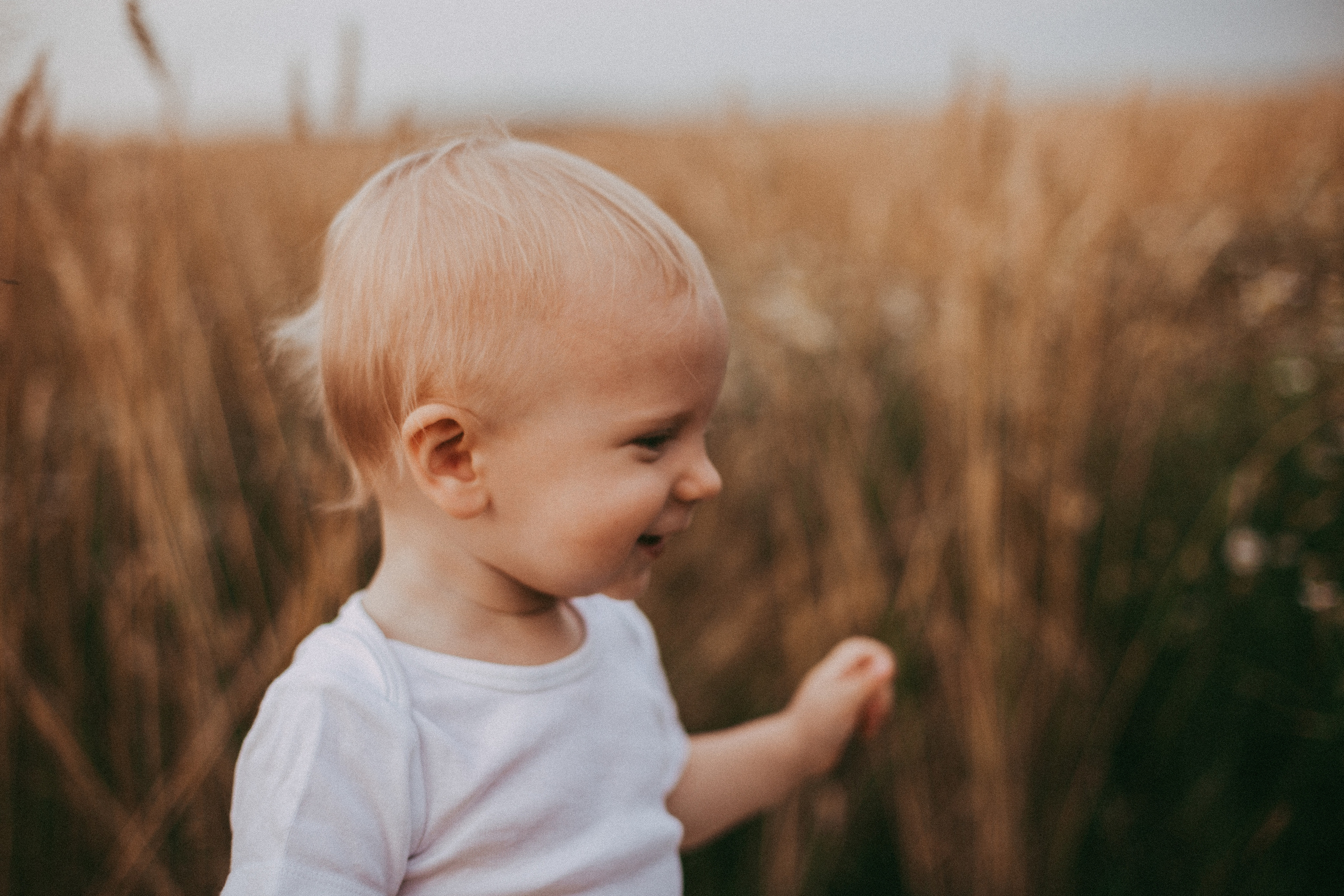 Золотые колосья. Детский и семейный фотограф, Newborn фотограф новорожденных г. Челябинск