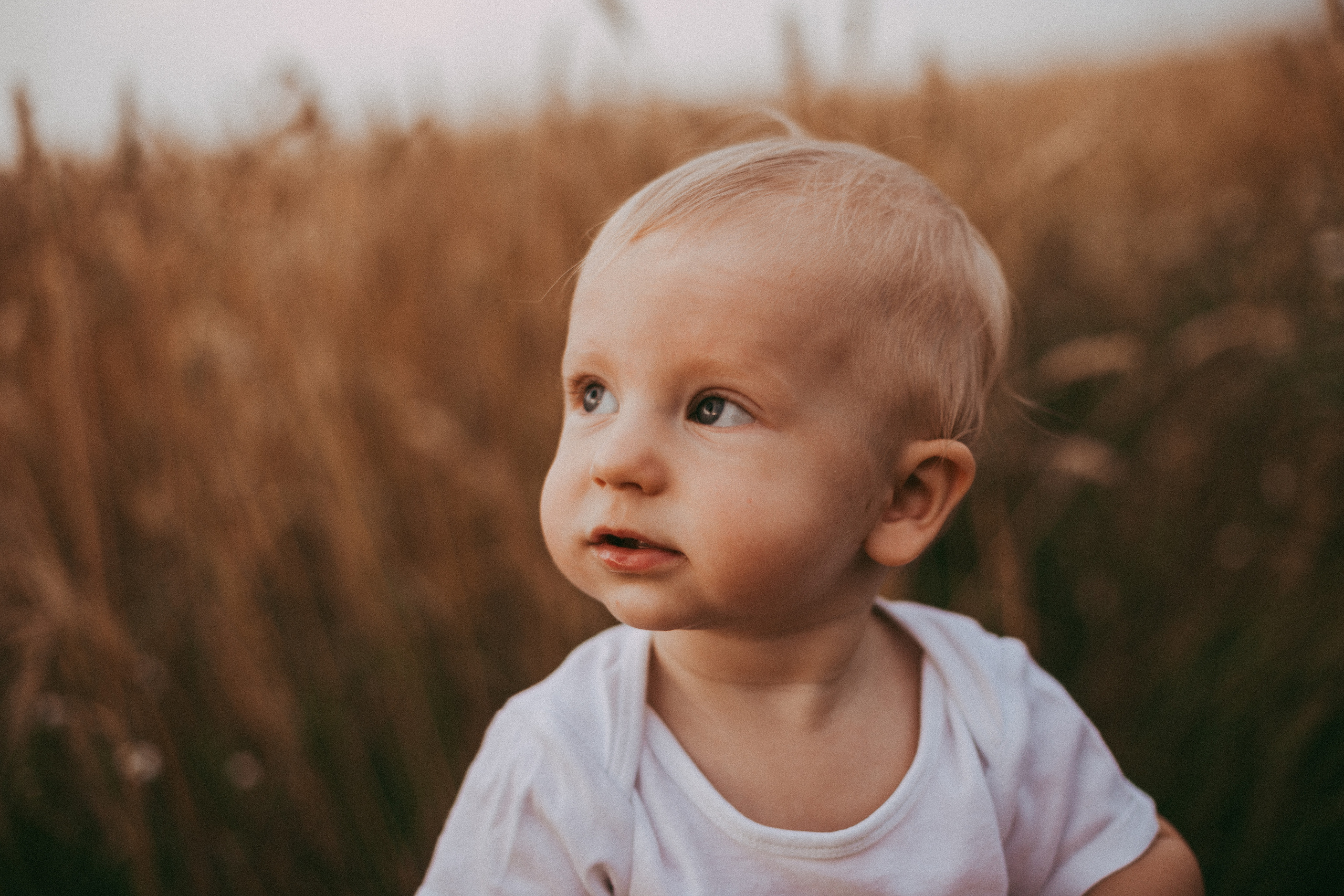 Золотые колосья. Детский и семейный фотограф, Newborn фотограф новорожденных г. Челябинск